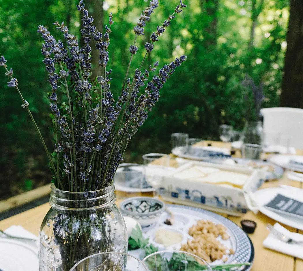 30 Passover Wishes & Messages: What to Write in a Passover Card - Twigs Paper