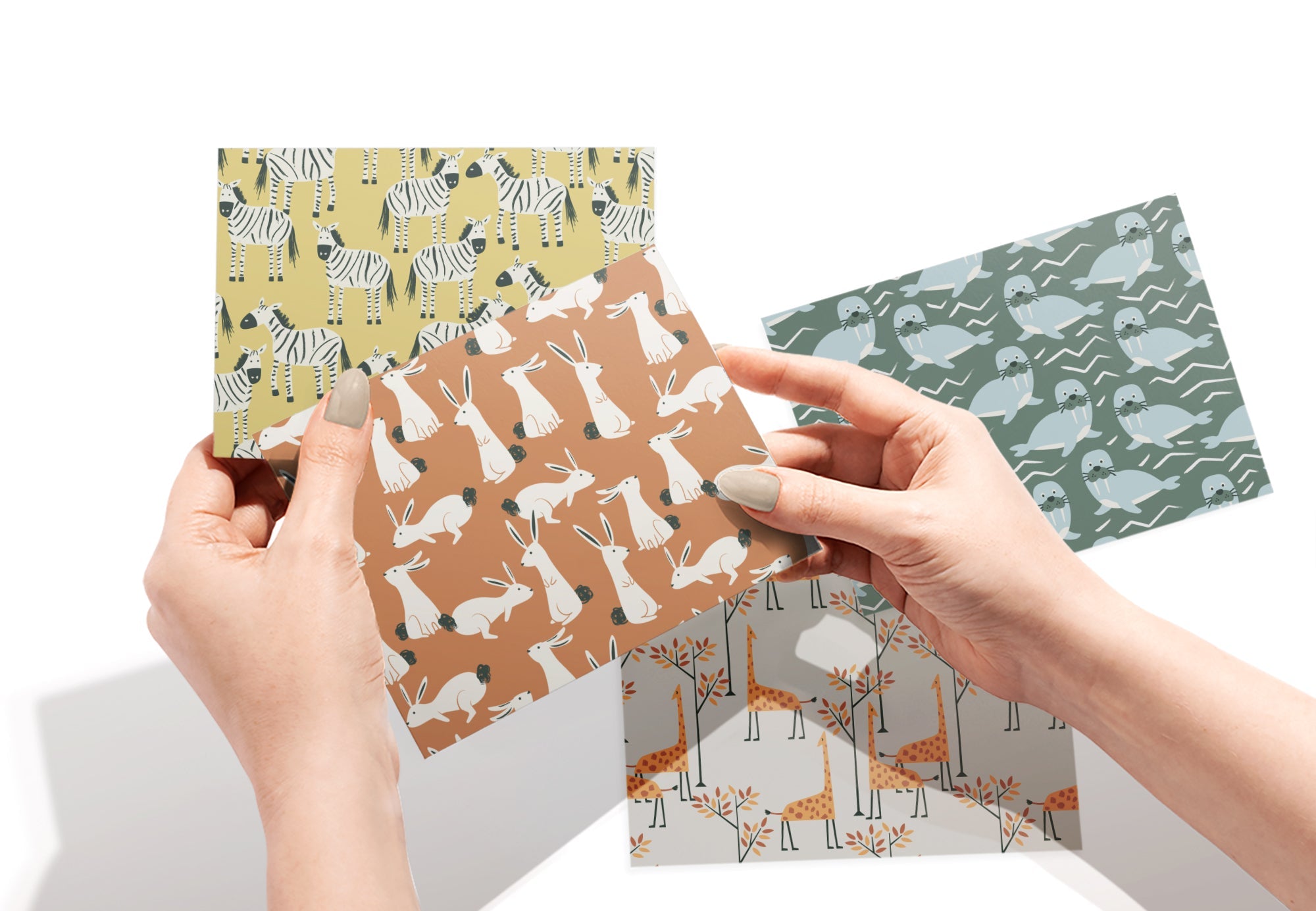 Animal Kingdom Kids Greeting Cards with Envelopes - Set of 12