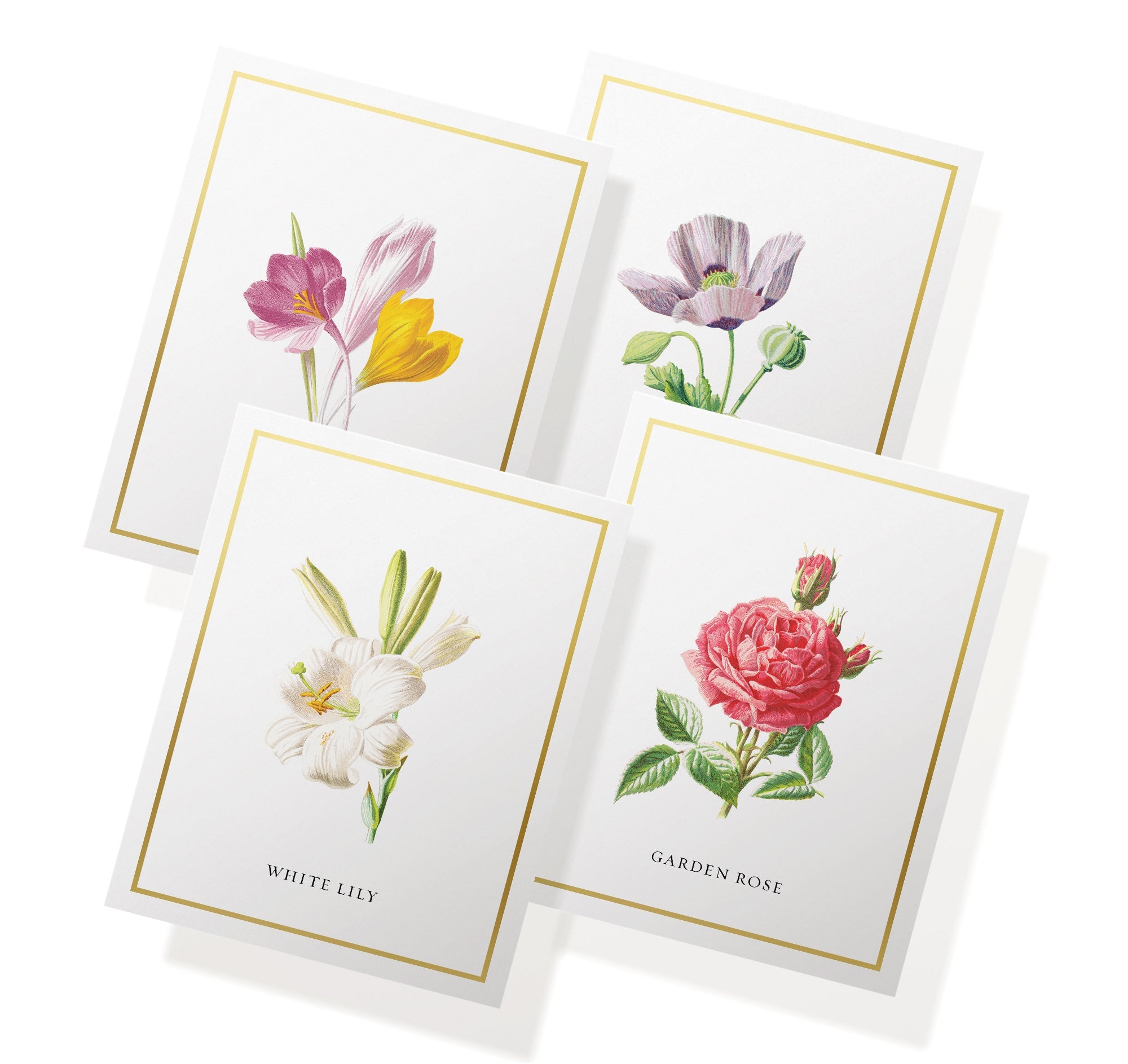 Botanical Beauty Garden Flower Greeting Cards with Envelopes - Set of 12