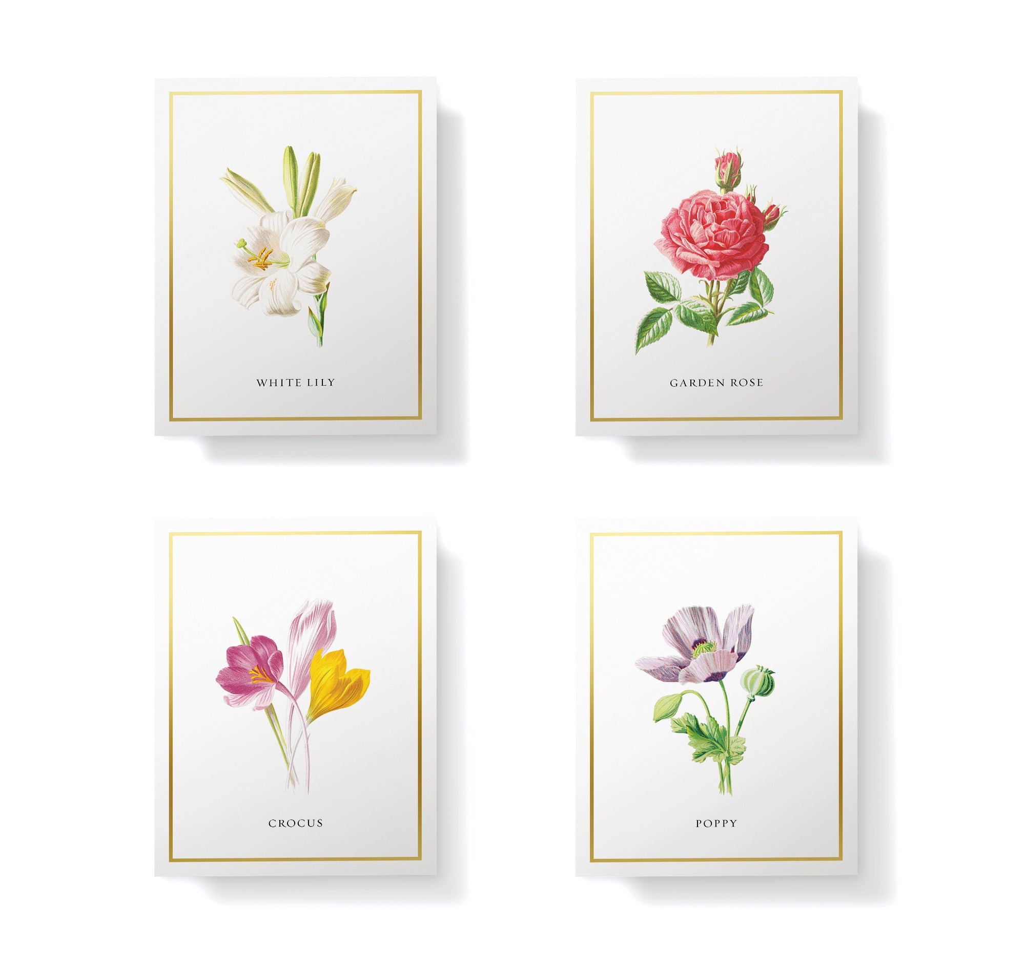 Botanical Beauty Garden Flower Greeting Cards with Envelopes - Set of 12