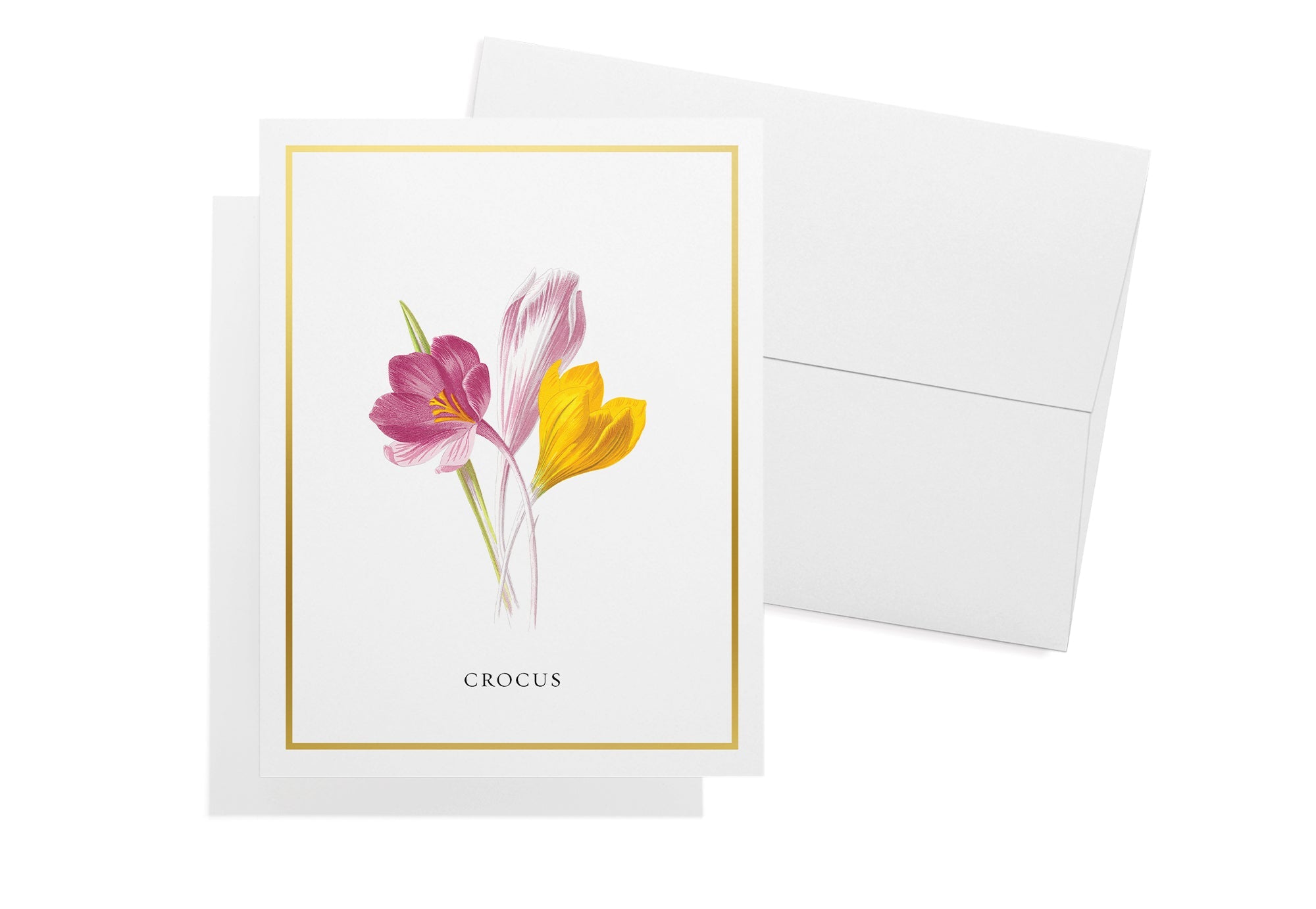 Botanical Beauty Garden Flower Greeting Cards with Envelopes - Set of 12