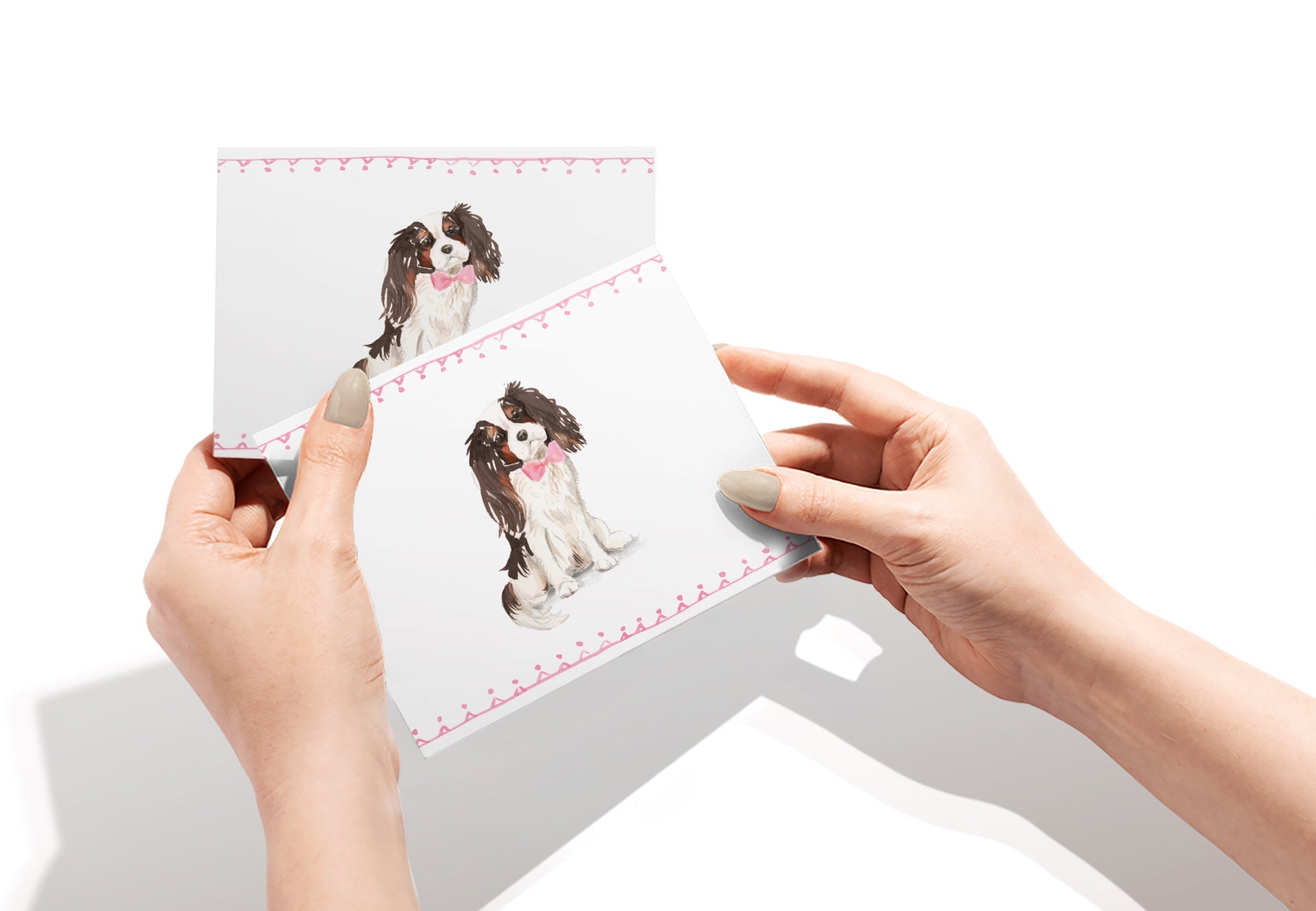 Cavalier King Charles Spaniel Greeting Cards with Envelopes - Set of 12