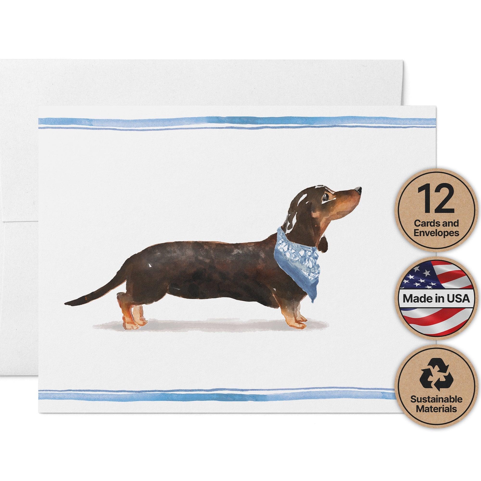 Dachshund Watercolor Dog Greeting Cards with Envelopes - Set of 12