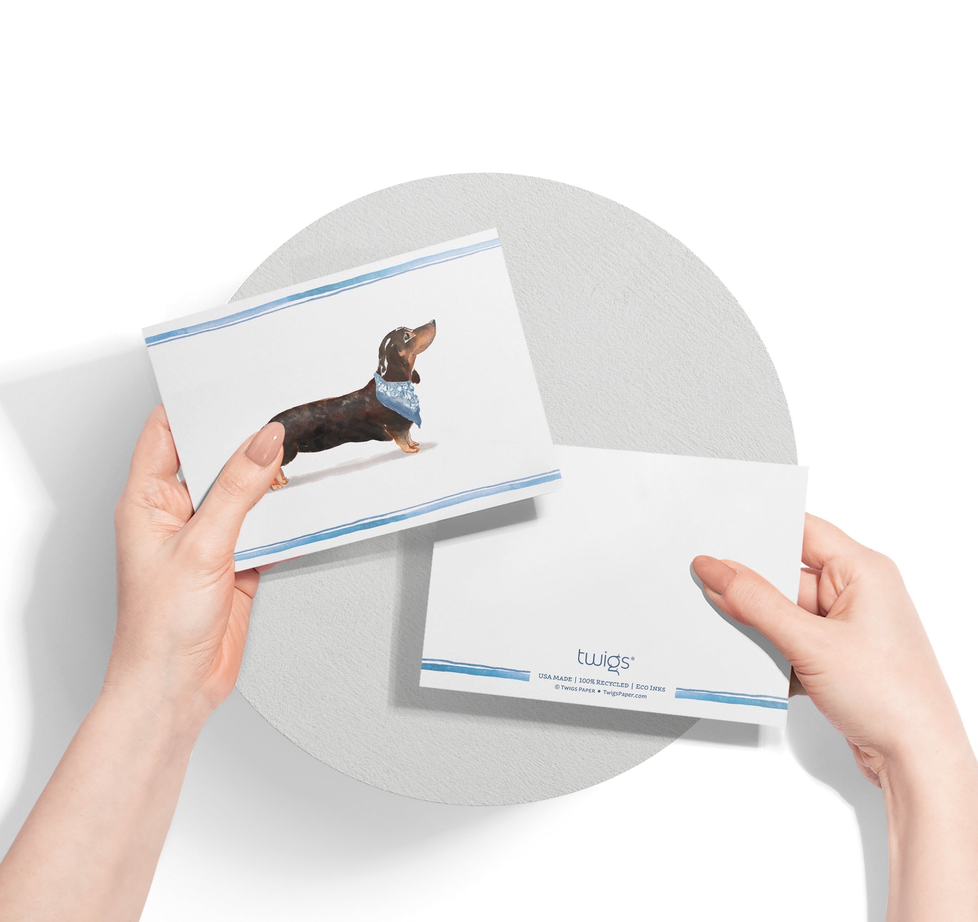 Dachshund Watercolor Dog Greeting Cards with Envelopes - Set of 12