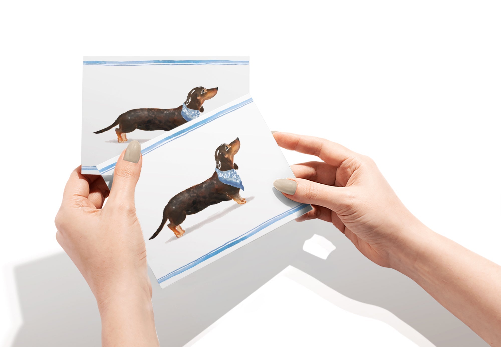Dachshund Watercolor Dog Greeting Cards with Envelopes - Set of 12
