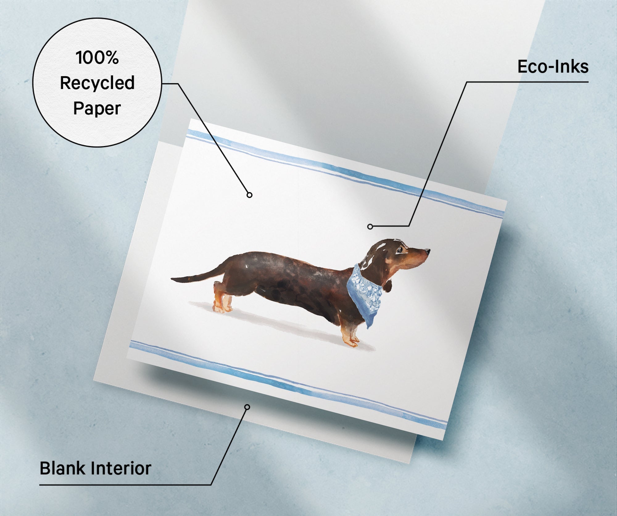 Dachshund Watercolor Dog Greeting Cards with Envelopes - Set of 12