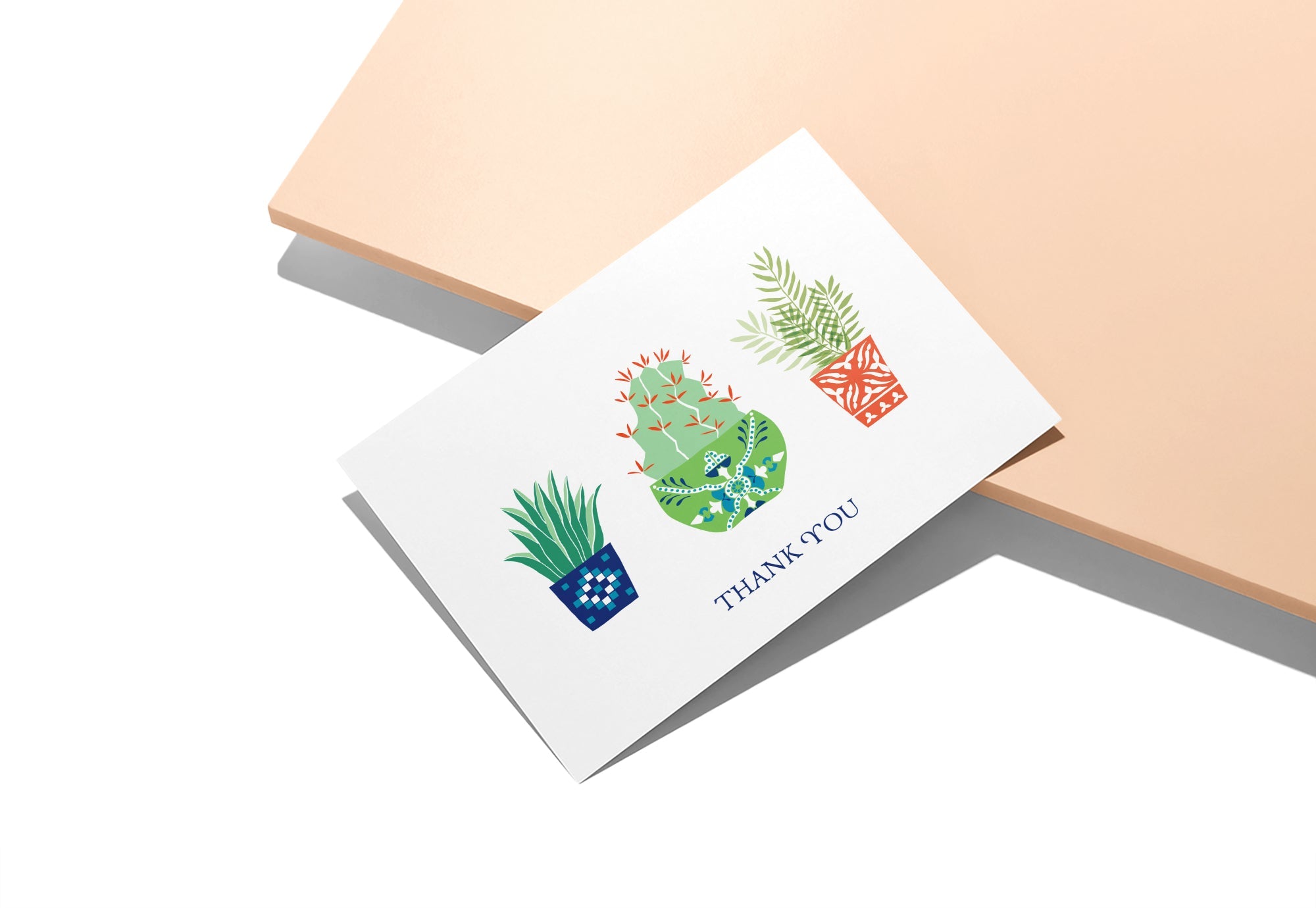Desert Blooms Succulent Thank You Cards with Envelopes - Set of 12