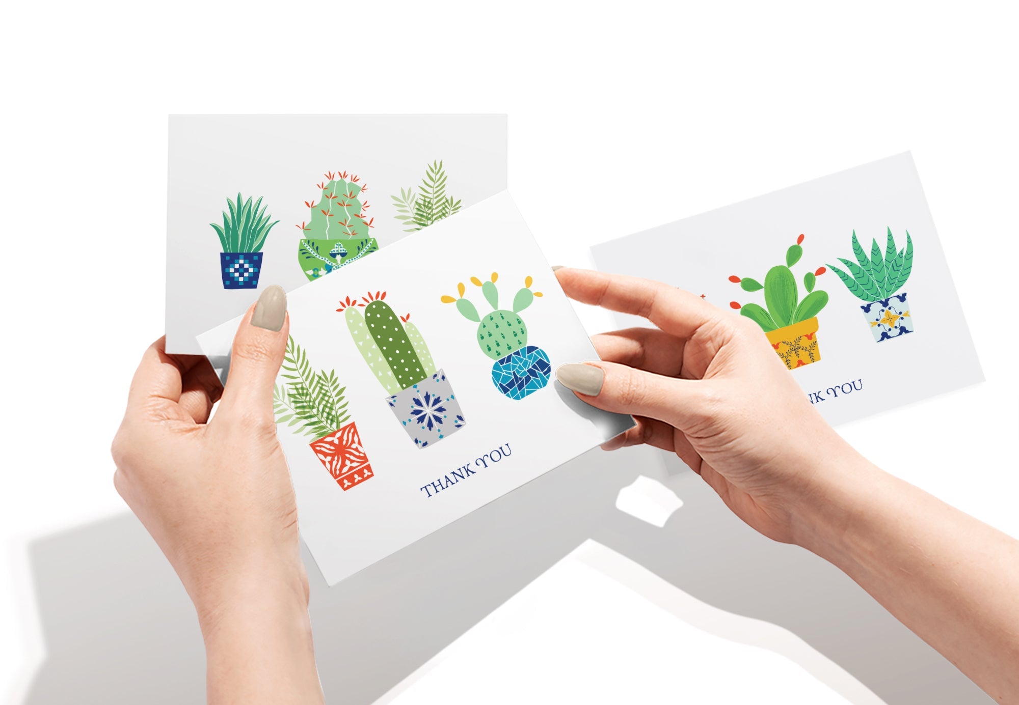 Desert Blooms Succulent Thank You Cards with Envelopes - Set of 12