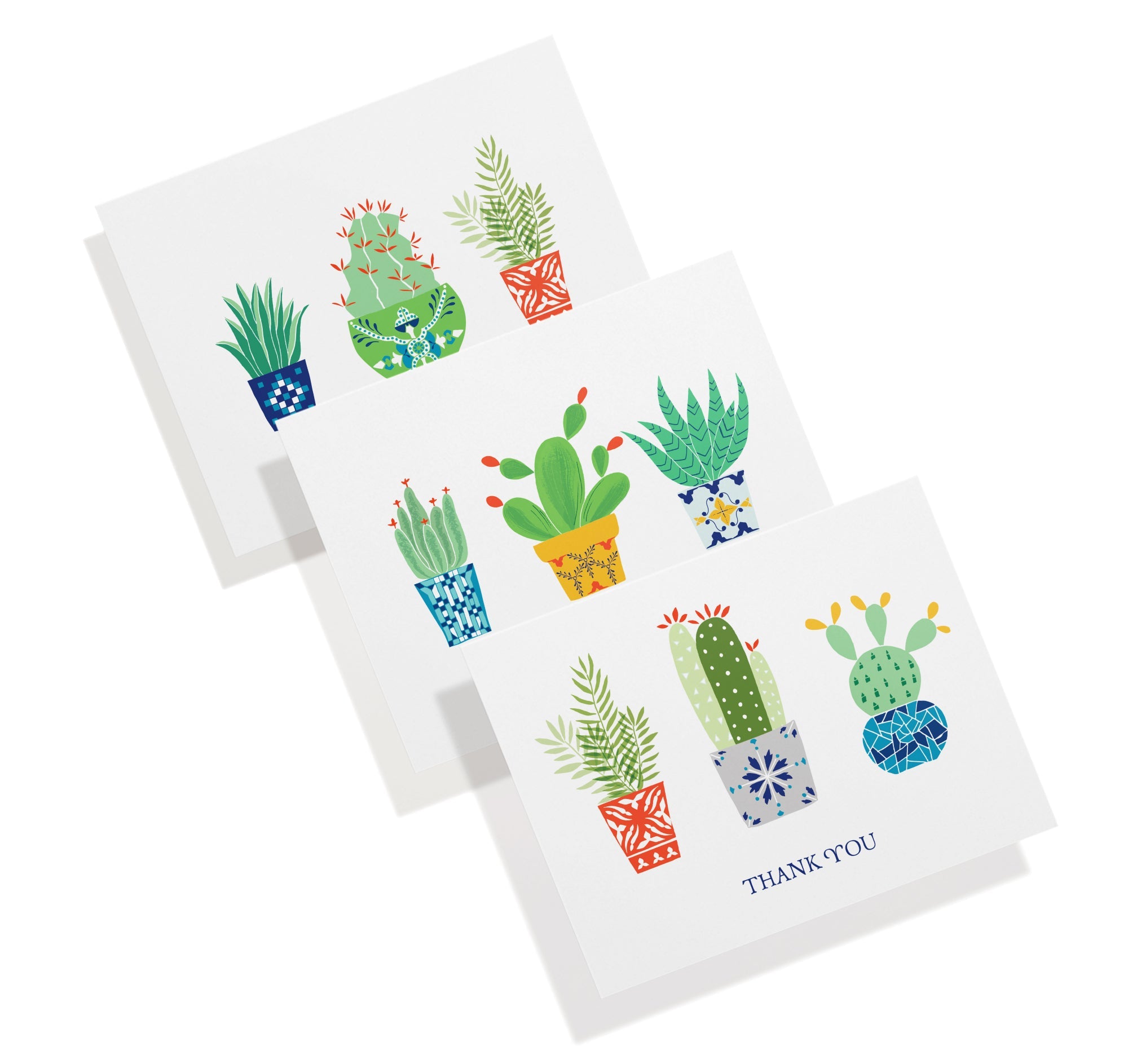 Desert Blooms Succulent Thank You Cards with Envelopes - Set of 12
