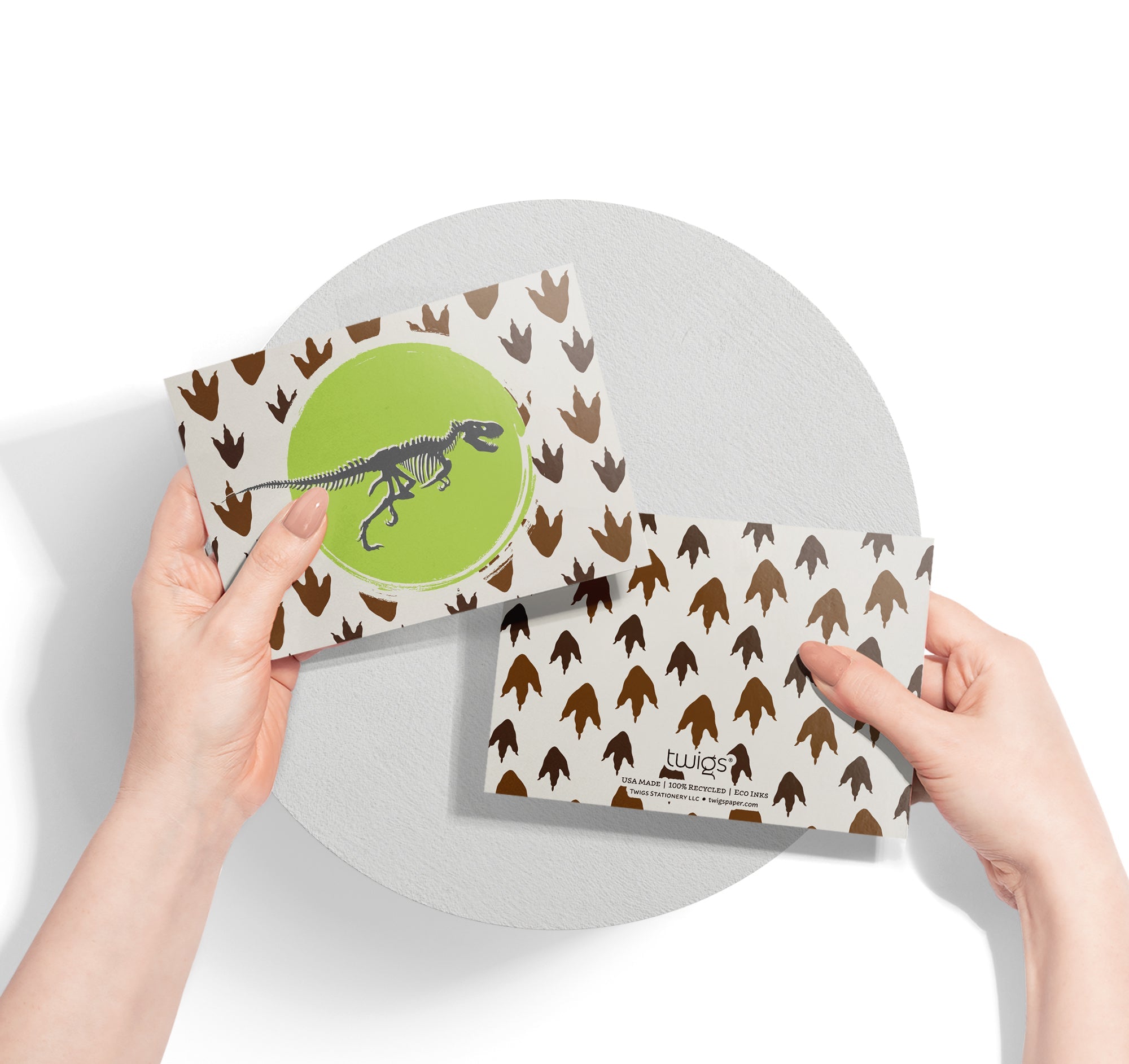 Jurassic Joy Dinosaur Greeting Cards for Kids with Envelopes - Set of 12