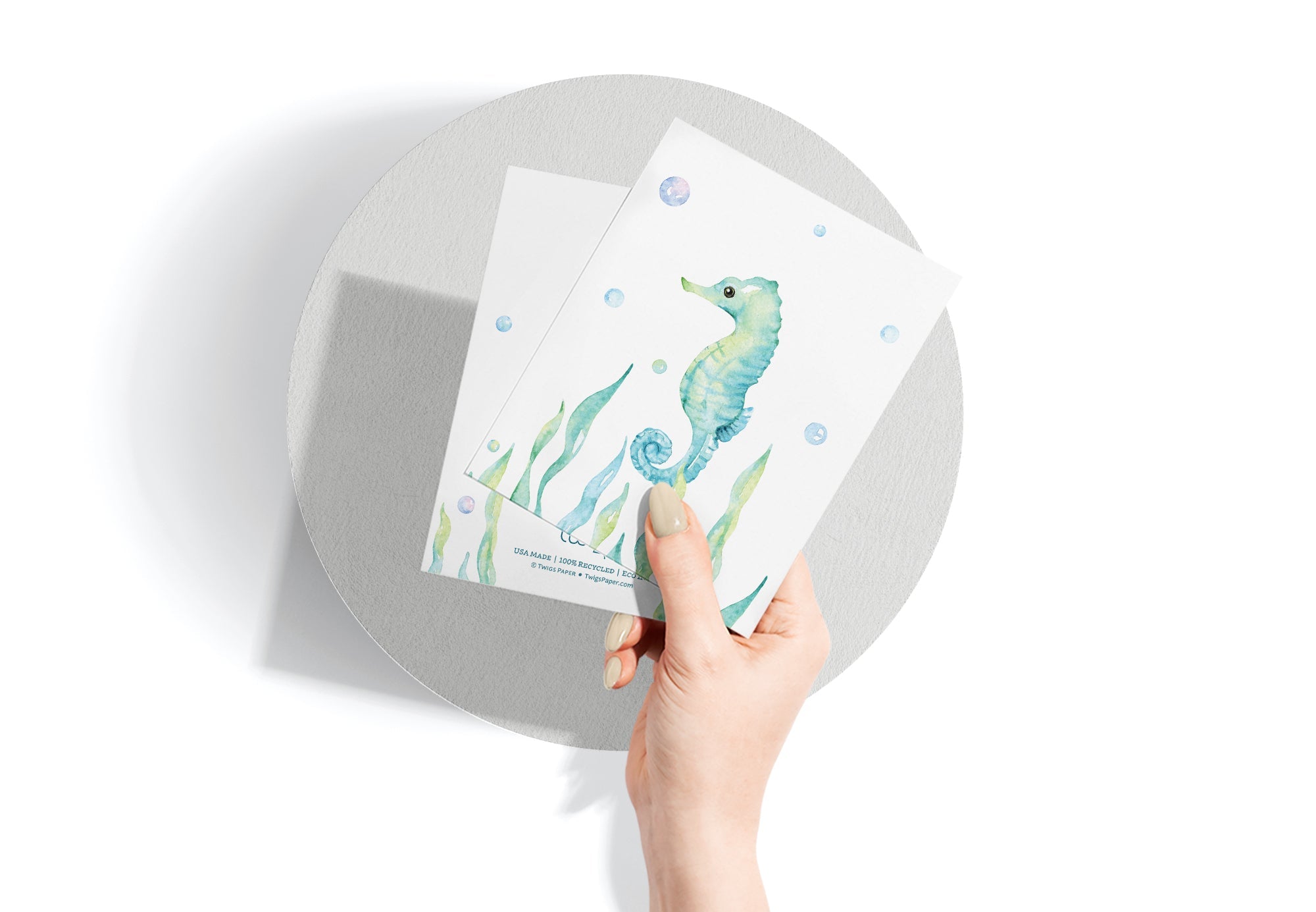 Marine Wonders Ocean Animal Greeting Cards with Envelopes - Set of 12