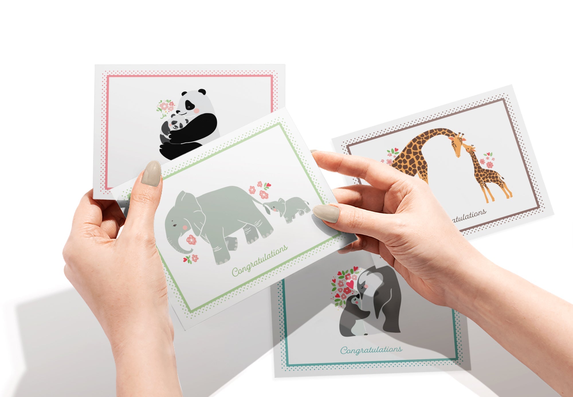 Mother & Baby Animal Congratulations Cards with Envelopes - Set of 12