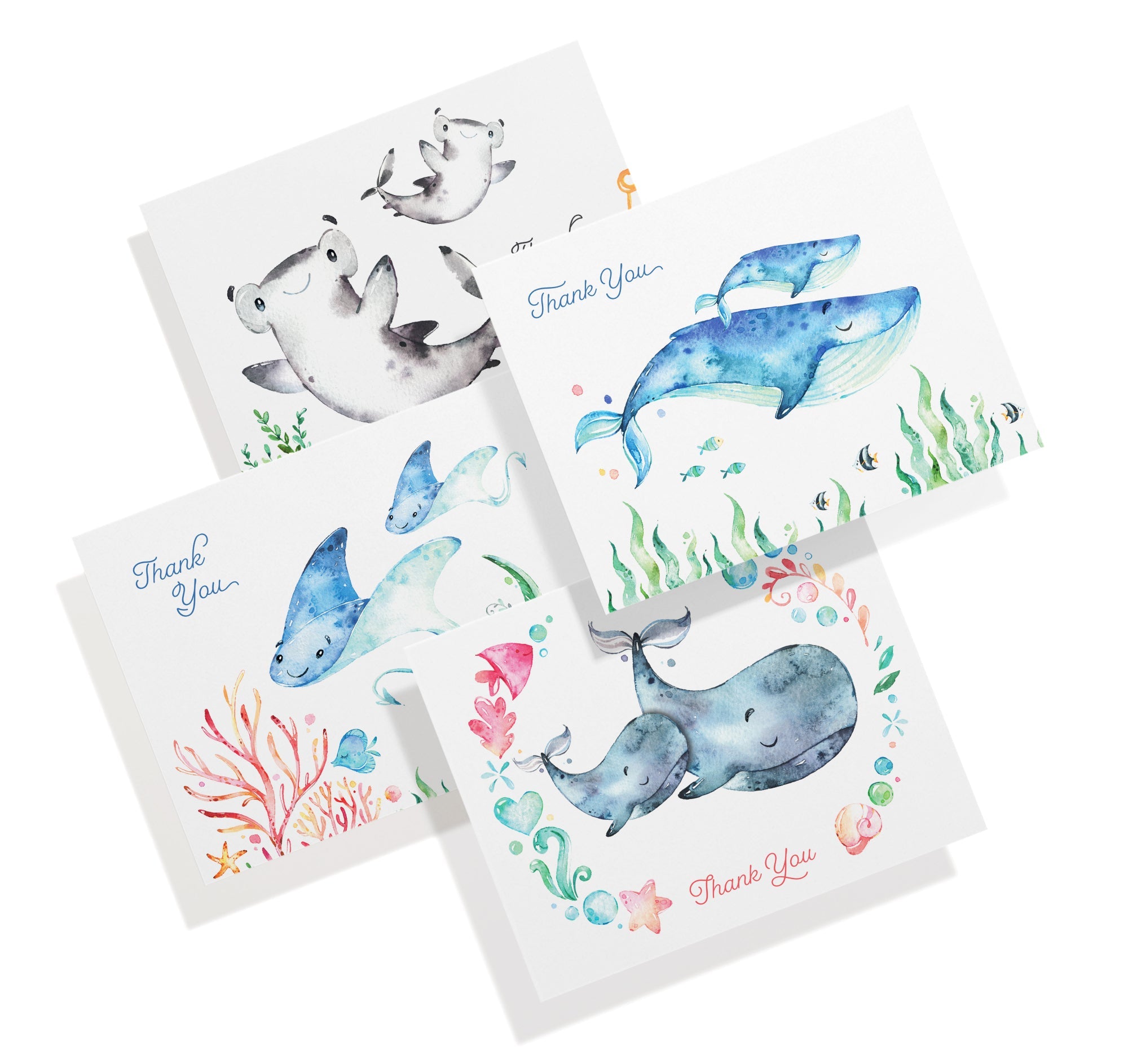 Ocean Tidings Sea Life Thank You Cards with Envelopes - Set of 12