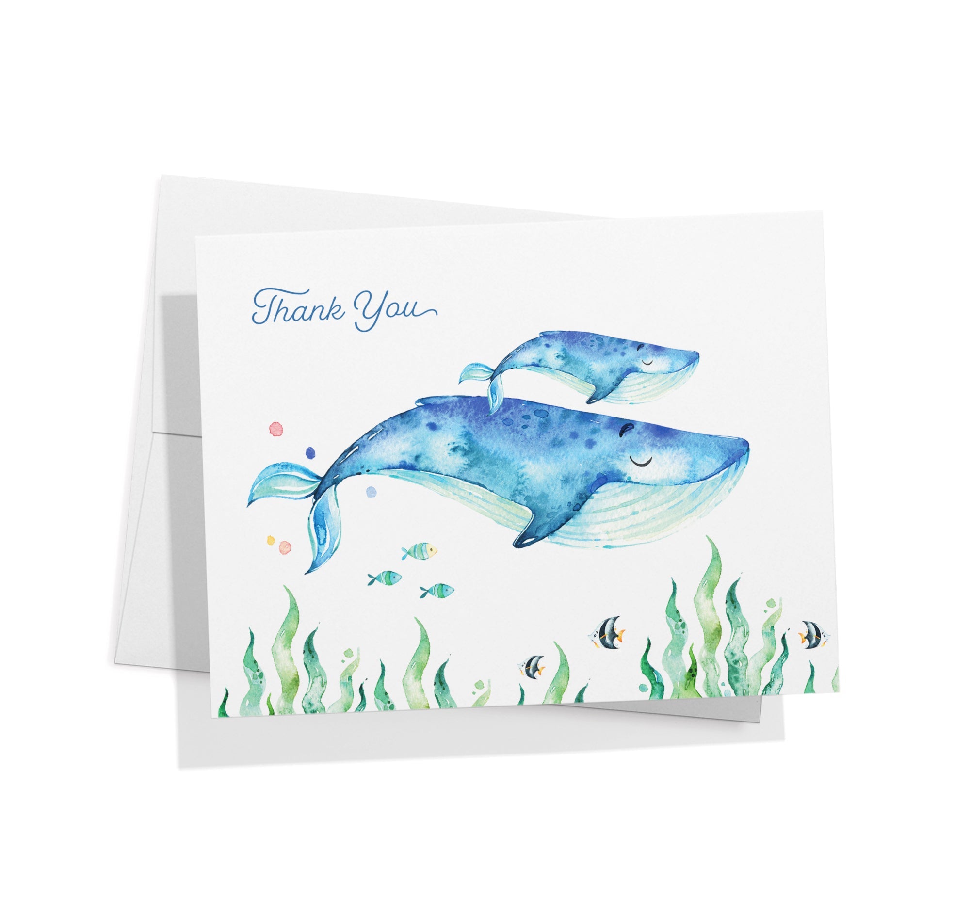 Ocean Tidings Sea Life Thank You Cards with Envelopes - Set of 12