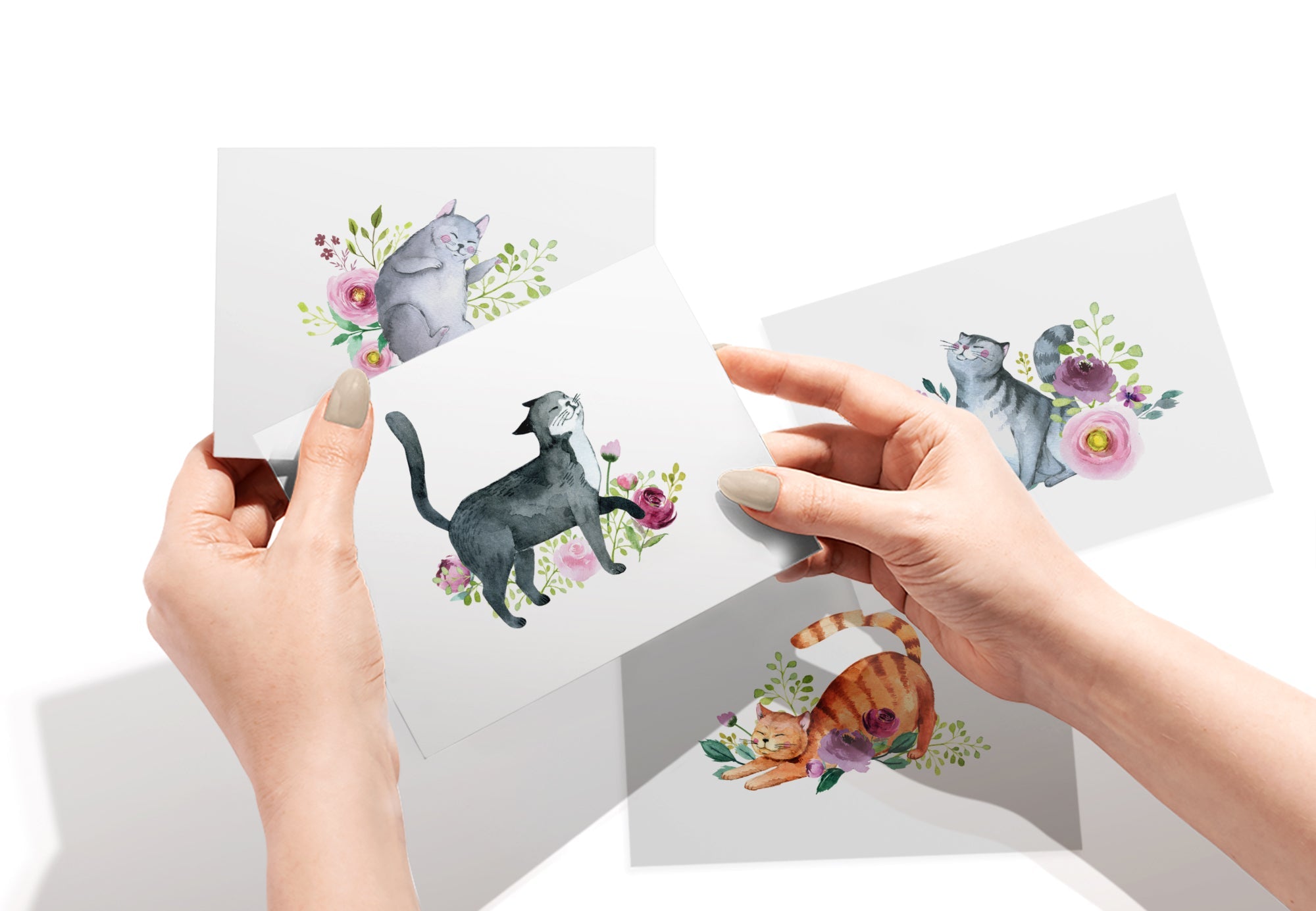Playful Cats Watercolor Cat Greeting Cards with Envelopes - Set of 12
