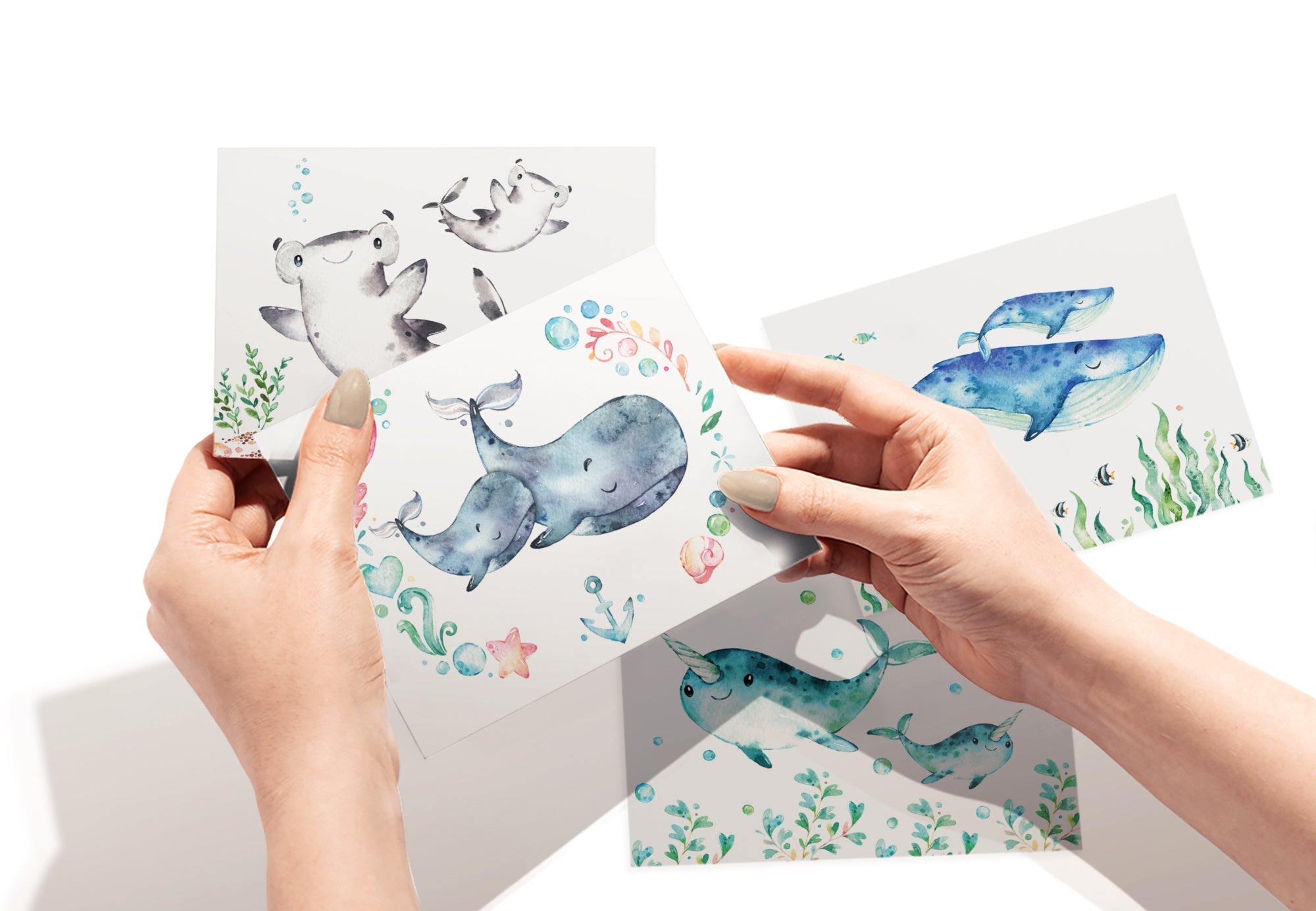 Sea Life Wonders Ocean Baby Shower Cards with Envelopes - Set of 12