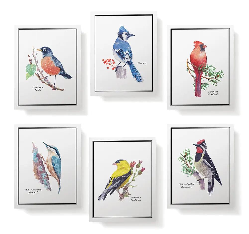 Vintage Birds - Physical - Twigs Paper