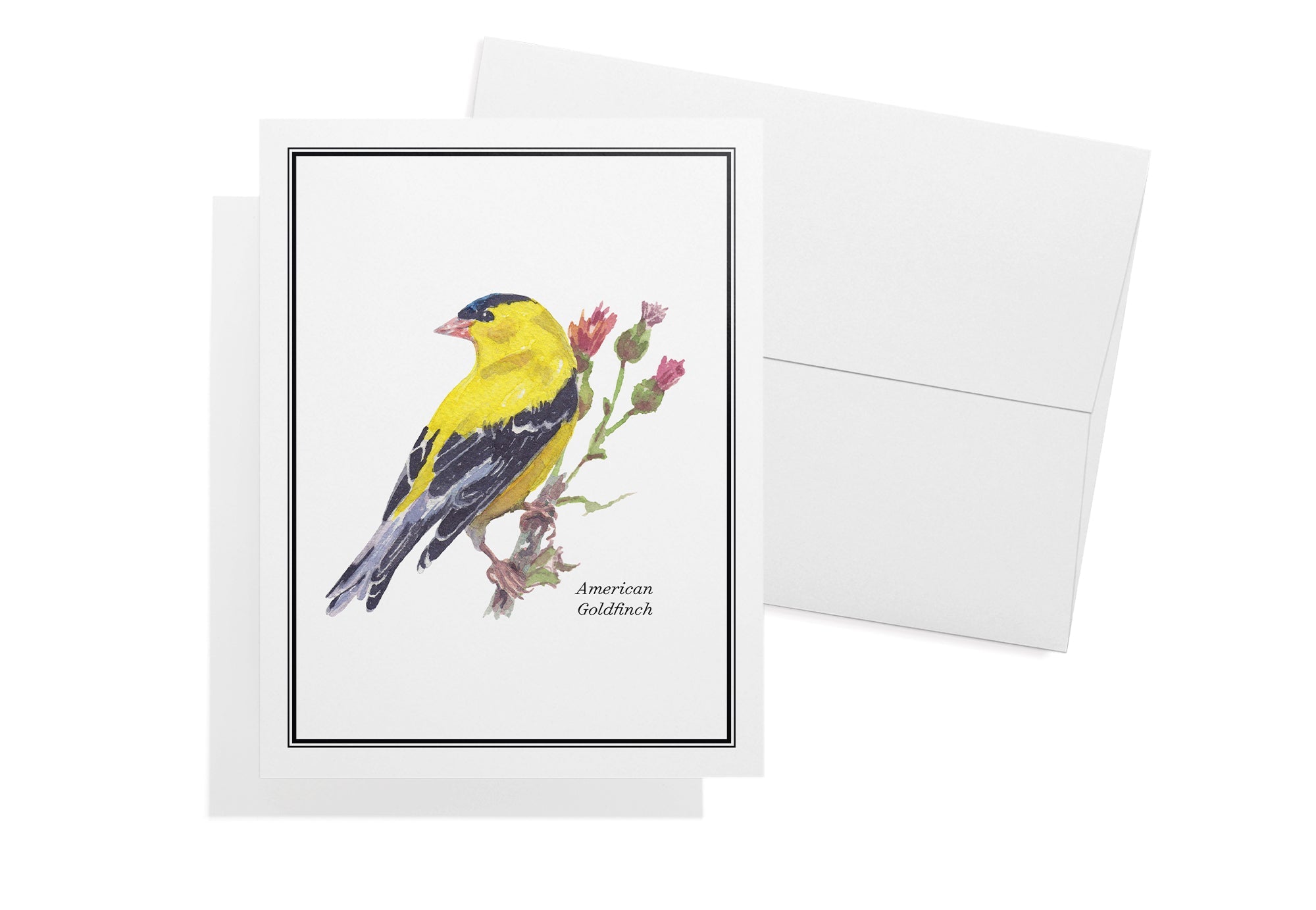 Vintage Birds Watercolor Greeting Cards with Envelopes - Set of 12