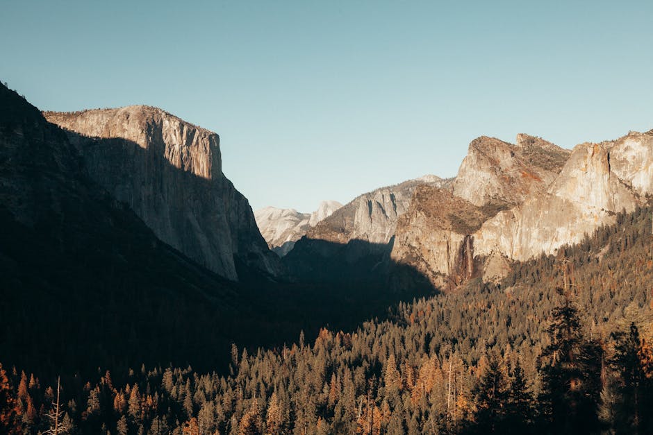 Nature's Bounty: The Ultimate Guide to National Park-Themed Gifts