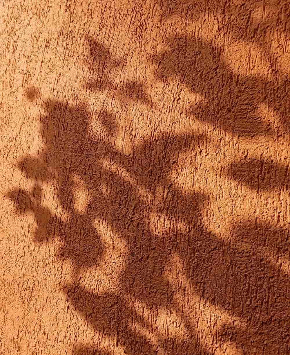 An orange wall with leaves shadows on it