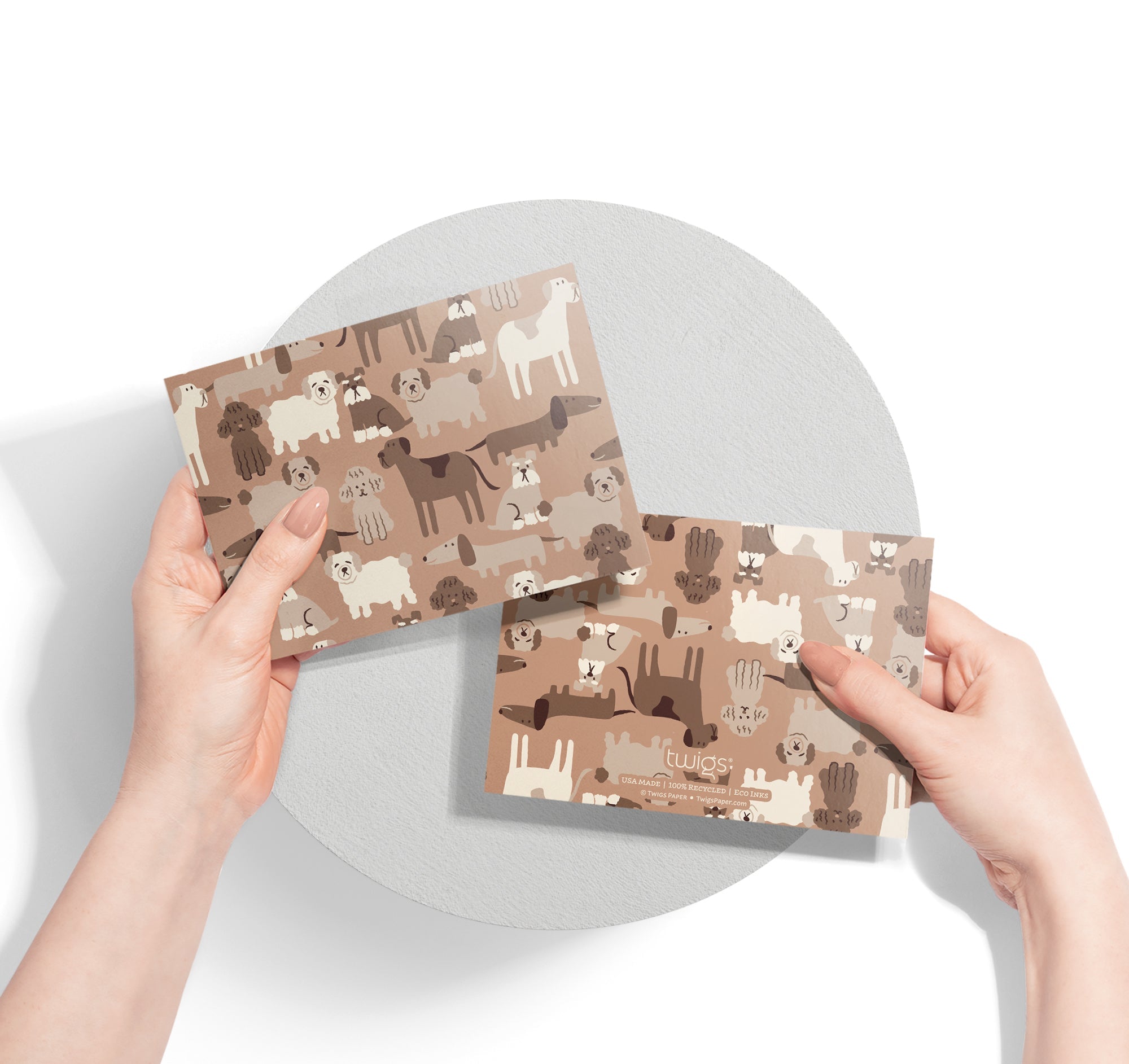 Animal Kingdom Kids Greeting Cards with Envelopes - Set of 12