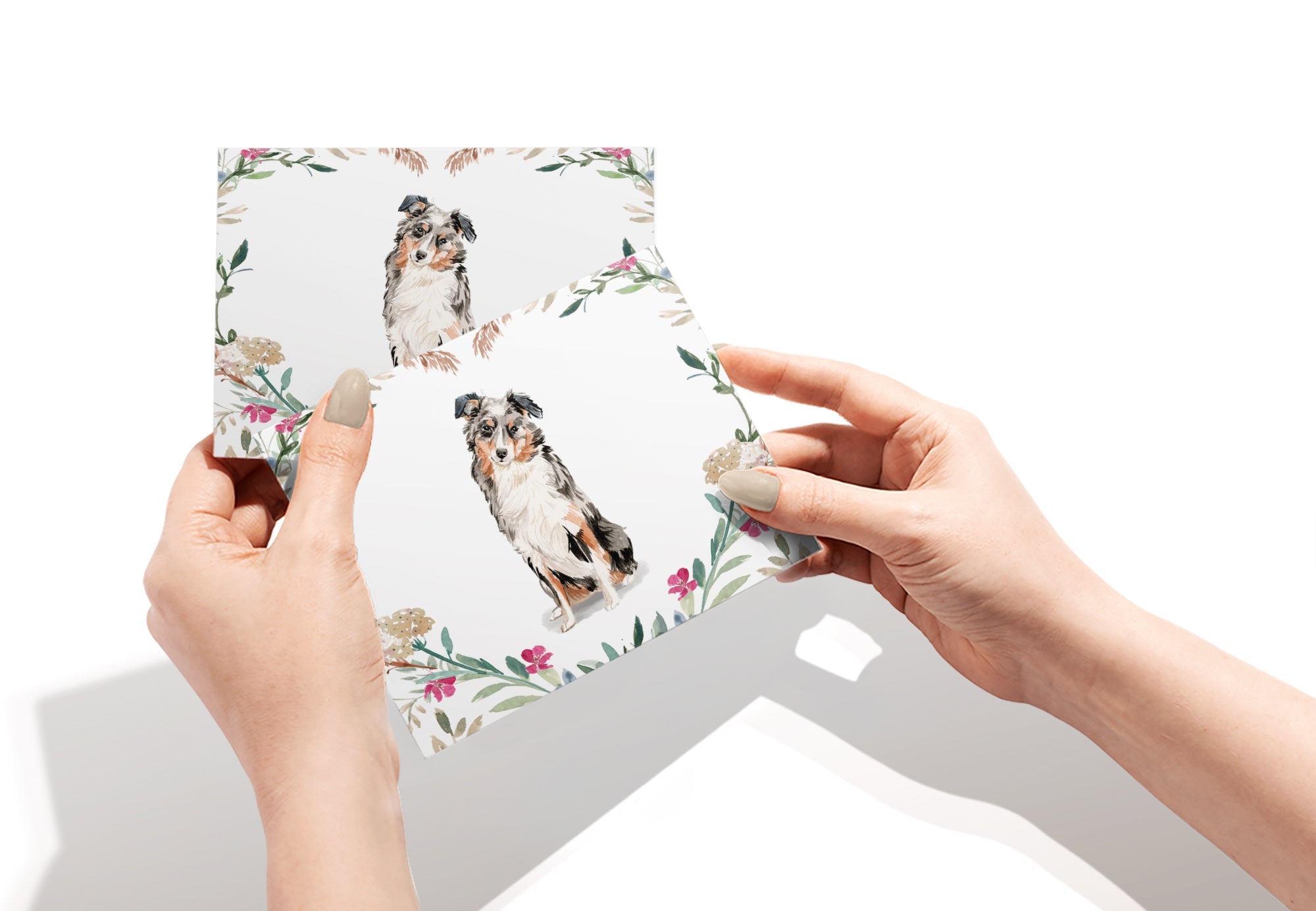 Australian Shepherd Watercolor Dog Greeting Cards with Envelopes - Set of 12
