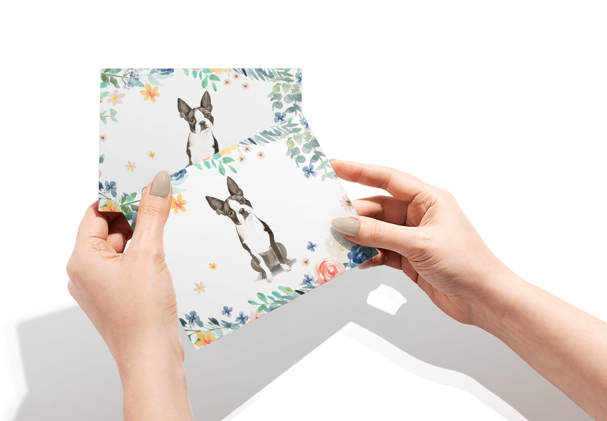 Boston Terrier Watercolor Dog Greeting Cards with Envelopes - Set of 12