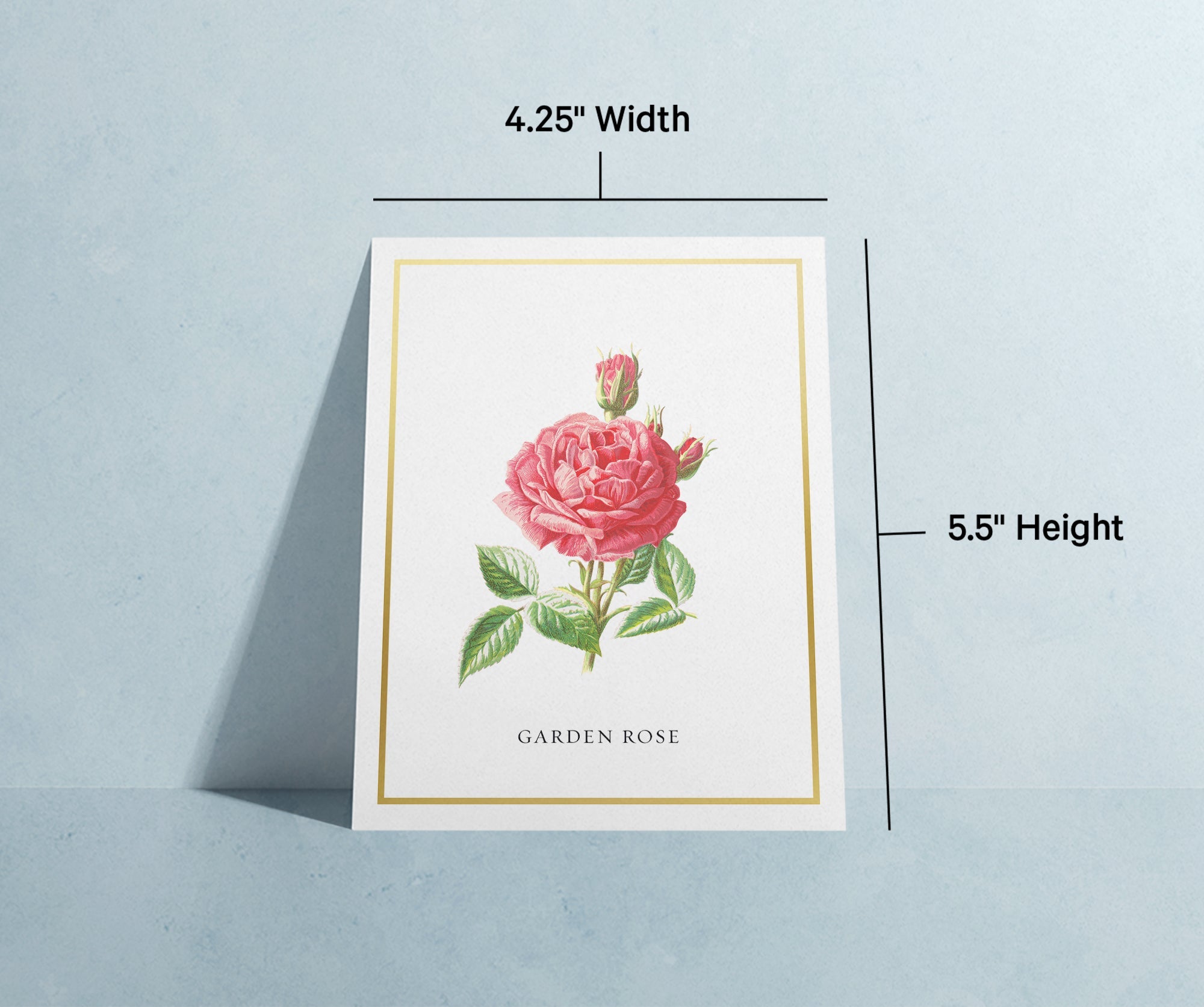 Botanical Beauty Garden Flower Greeting Cards with Envelopes - Set of 12