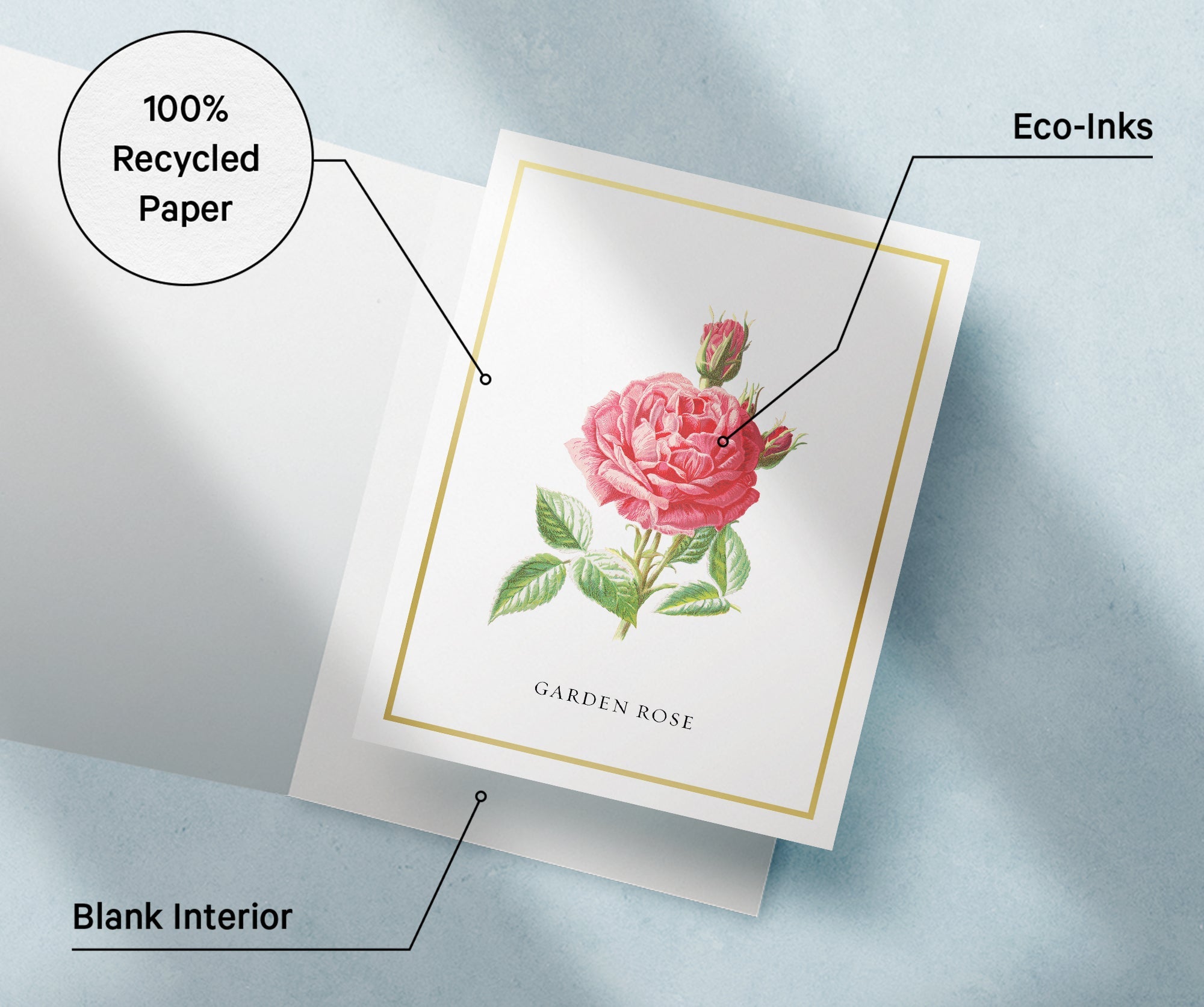 Botanical Beauty Garden Flower Greeting Cards with Envelopes - Set of 12