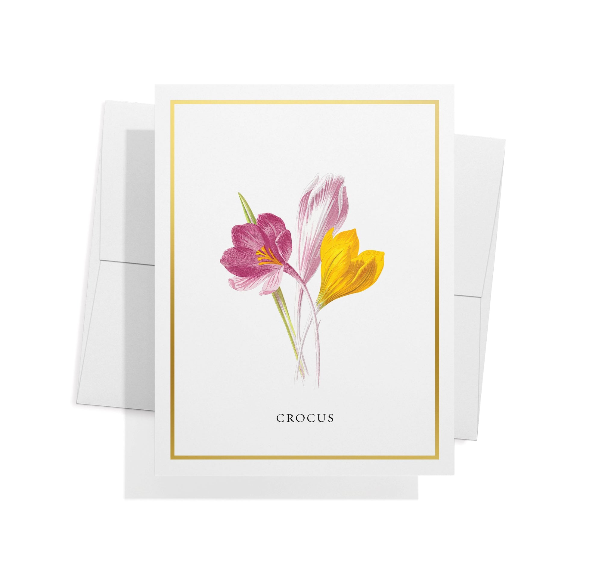 Botanical Beauty Garden Flower Greeting Cards with Envelopes - Set of 12