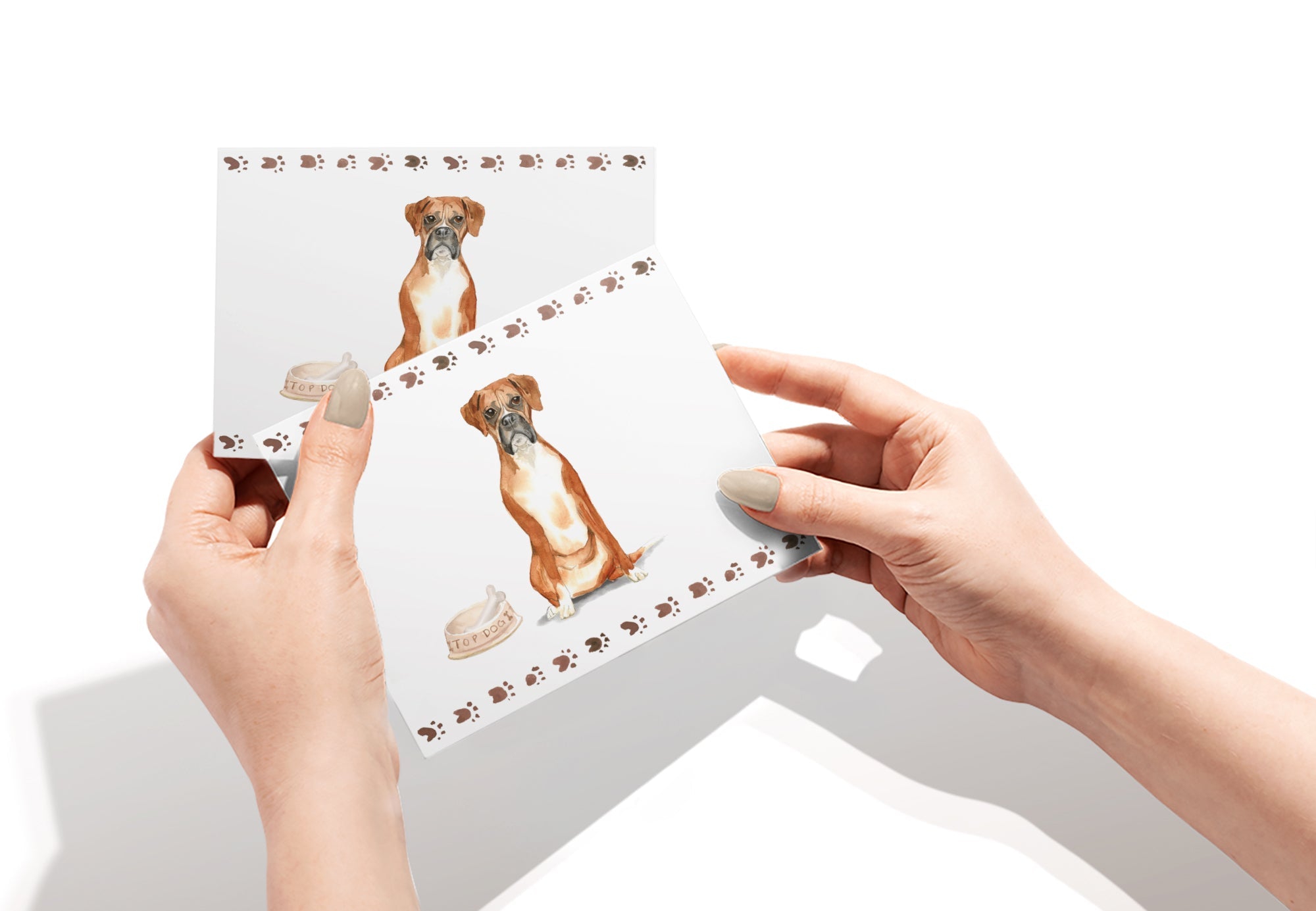 Boxer Dog Watercolor Greeting Cards with Envelopes - Set of 12