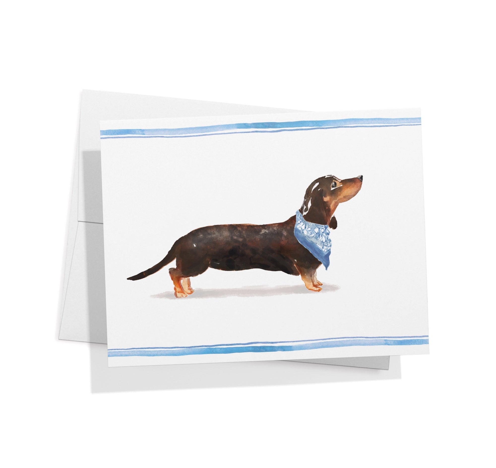 Dachshund Watercolor Dog Greeting Cards with Envelopes - Set of 12