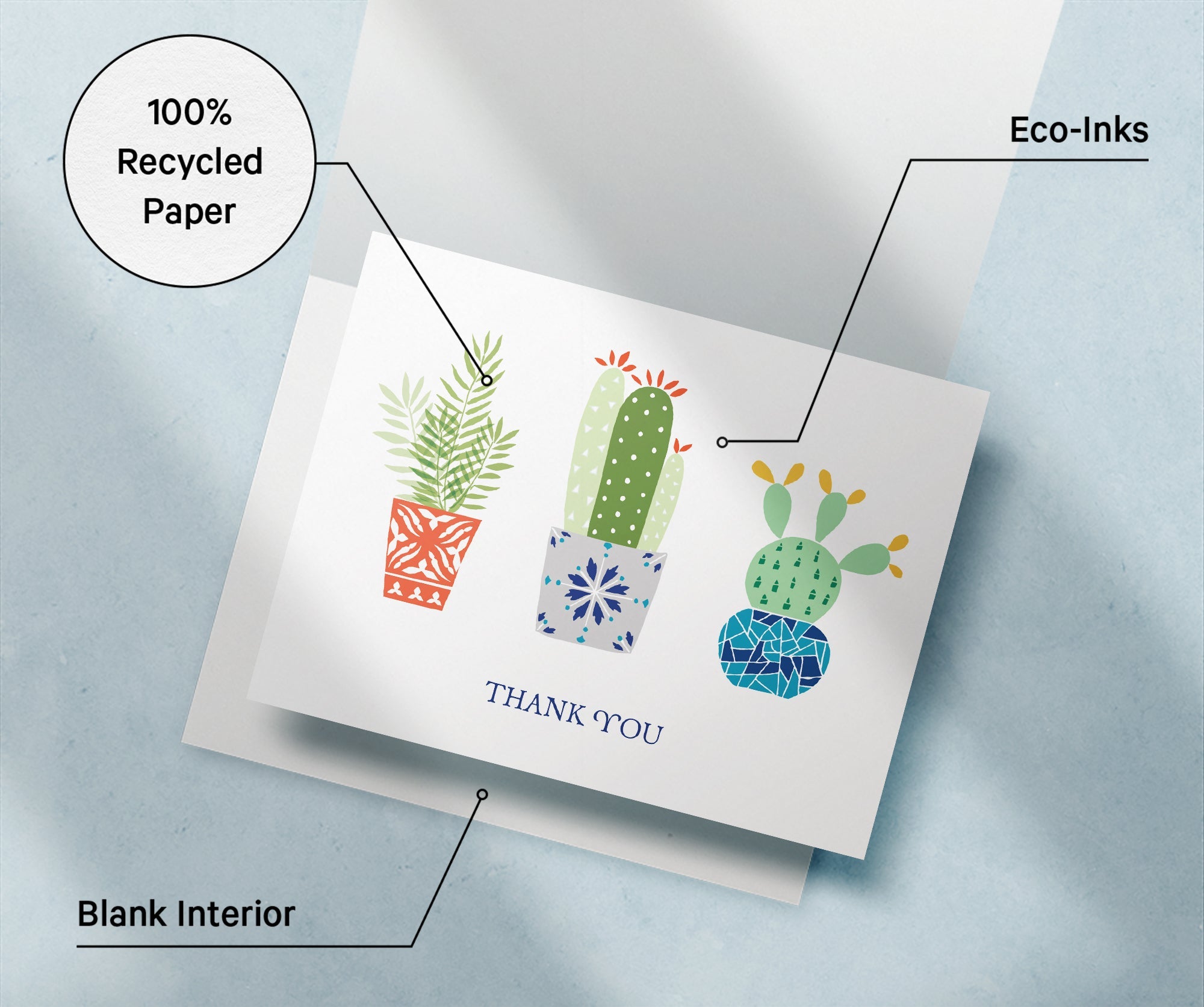 Desert Blooms Succulent Thank You Cards with Envelopes - Set of 12