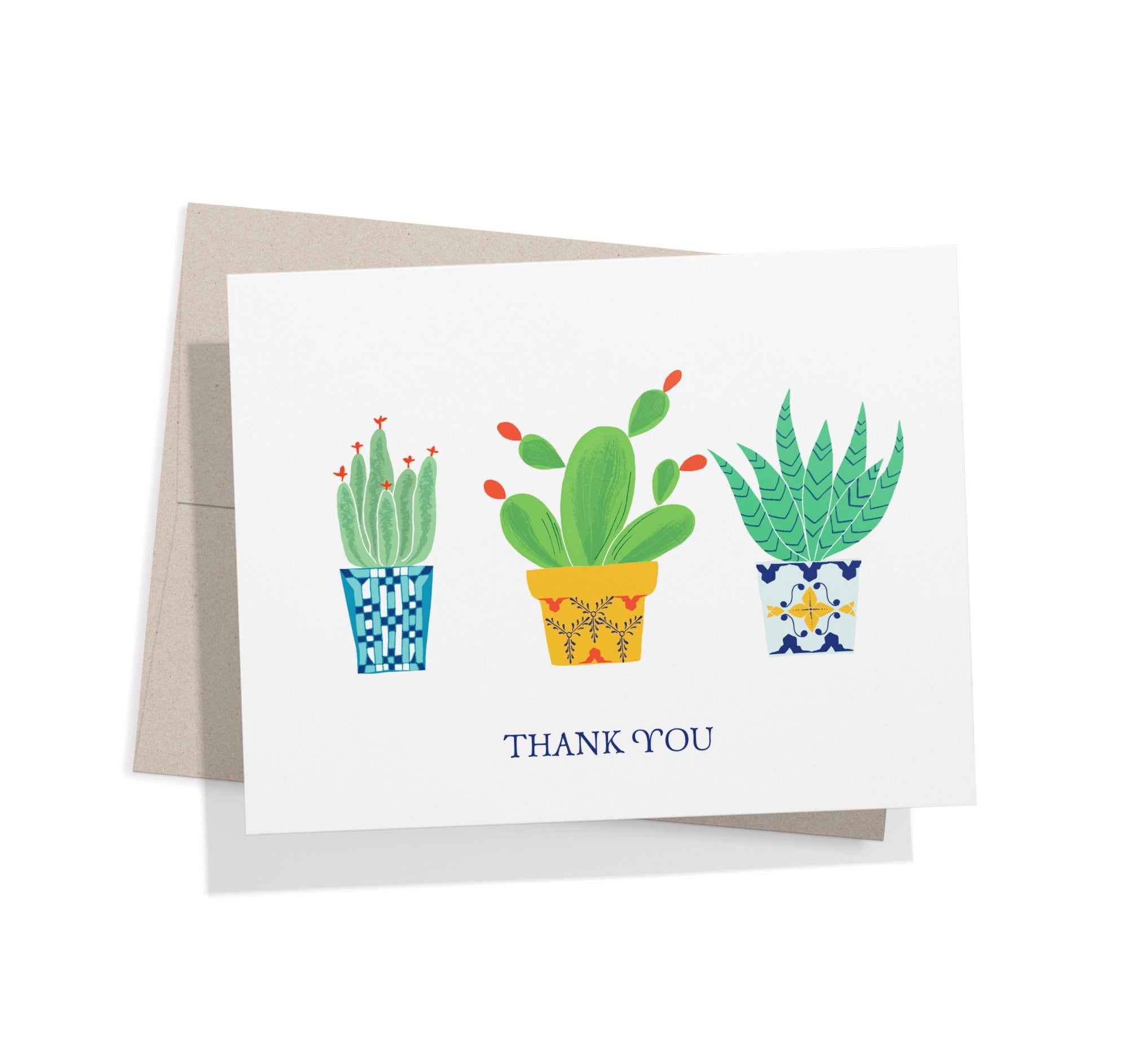 Desert Blooms Succulent Thank You Cards with Envelopes - Set of 12