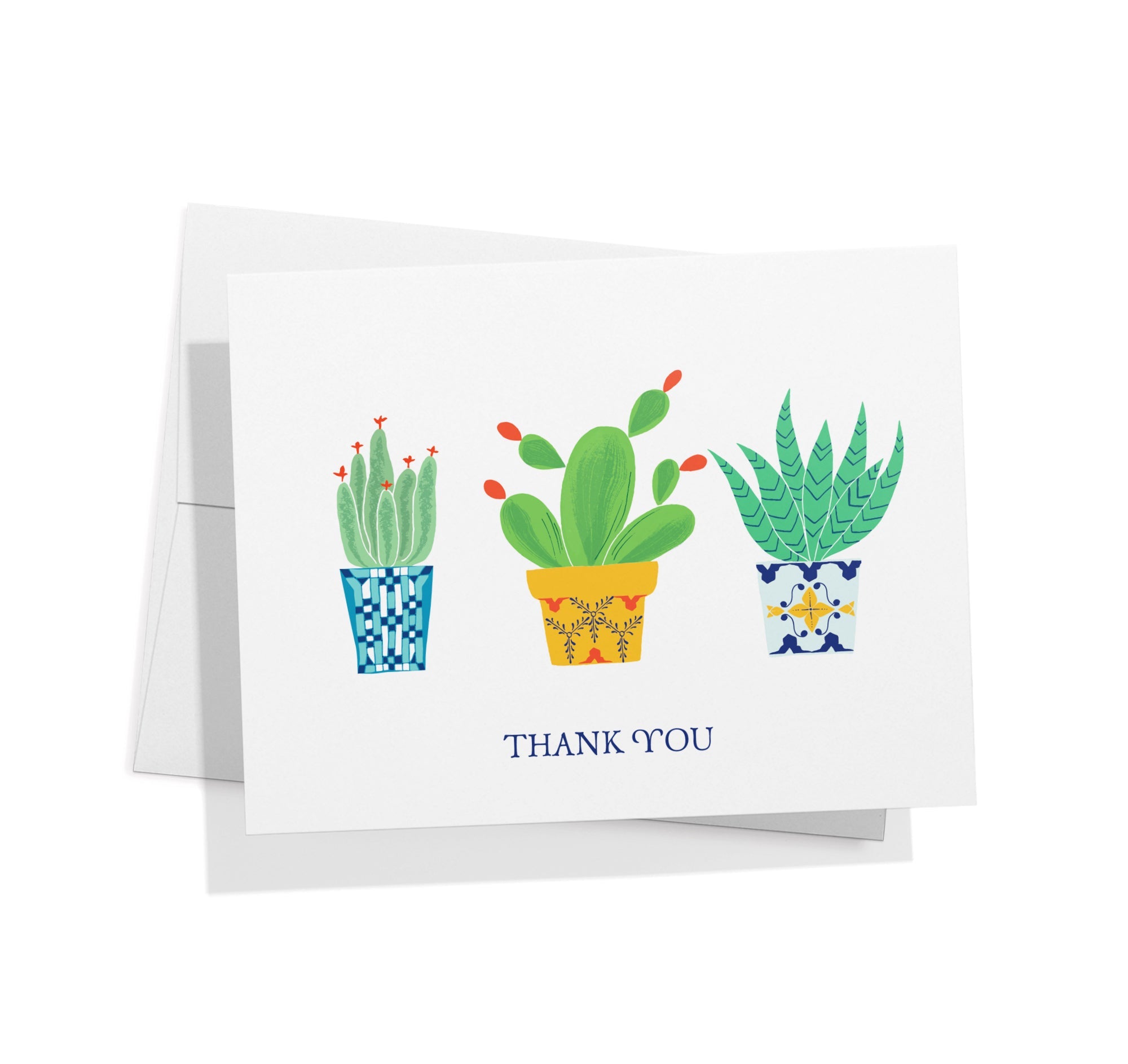 Desert Blooms Succulent Thank You Cards with Envelopes - Set of 12