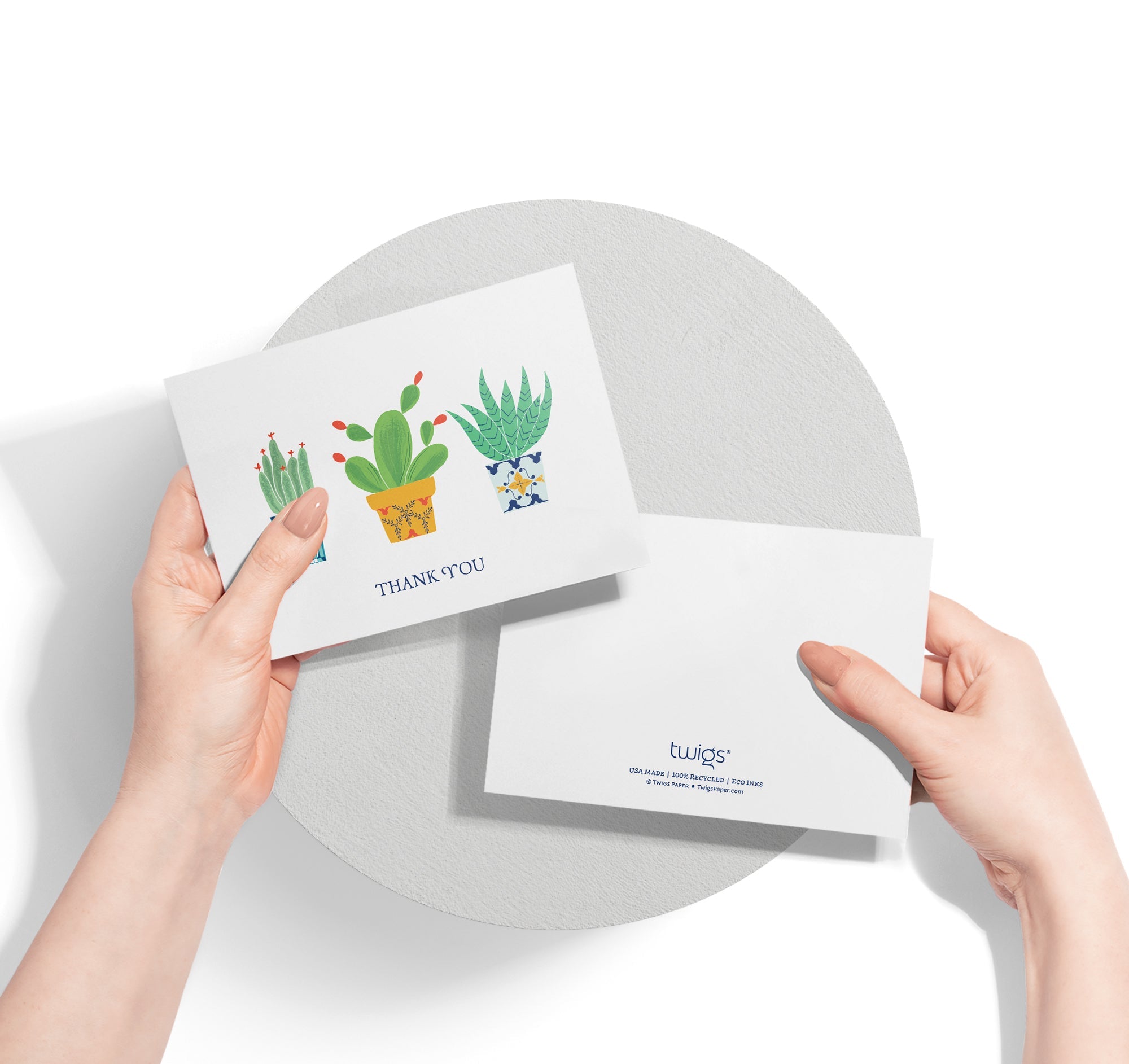 Desert Blooms Succulent Thank You Cards with Envelopes - Set of 12