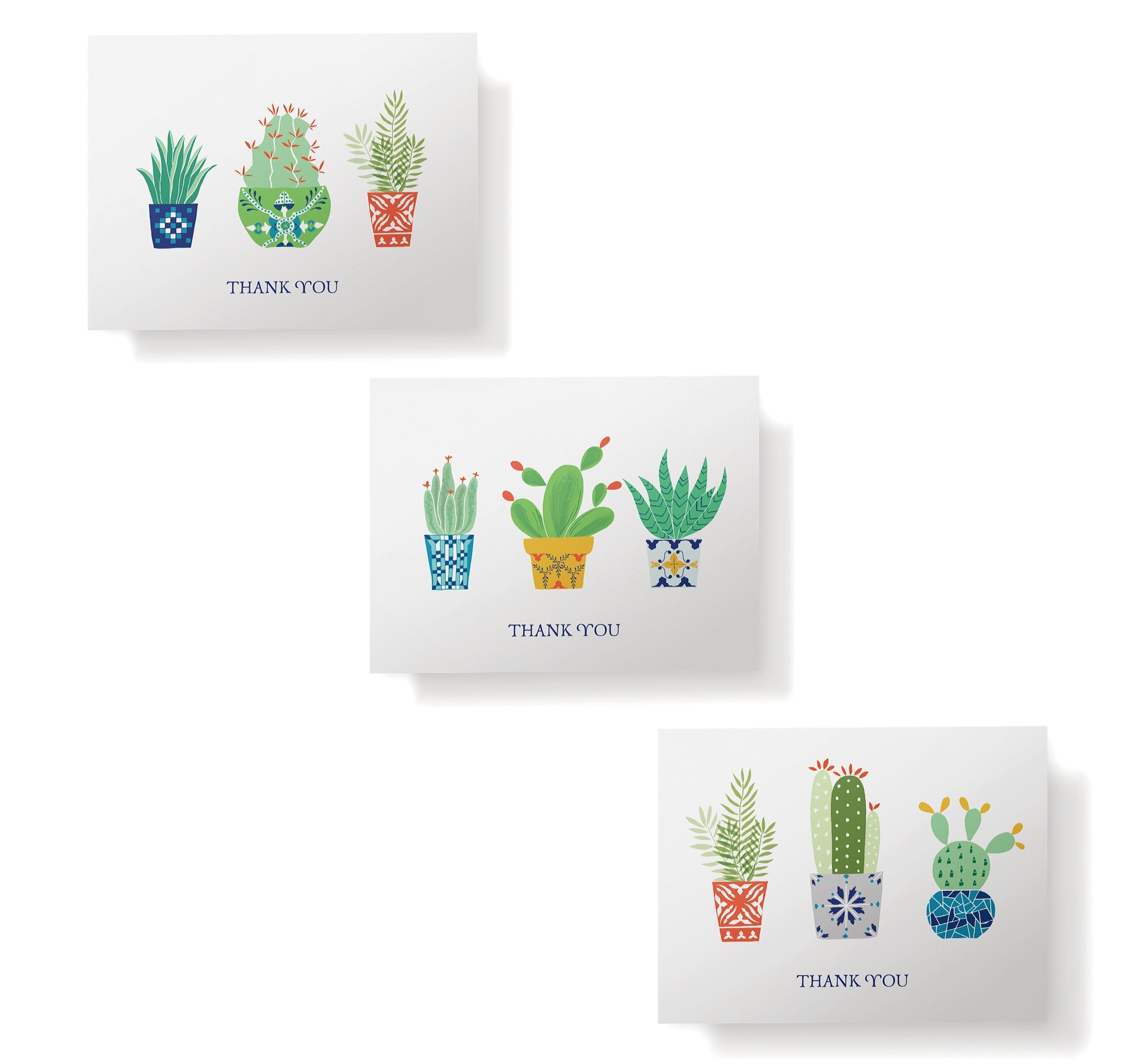 Desert Blooms Succulent Thank You Cards with Envelopes - Set of 12