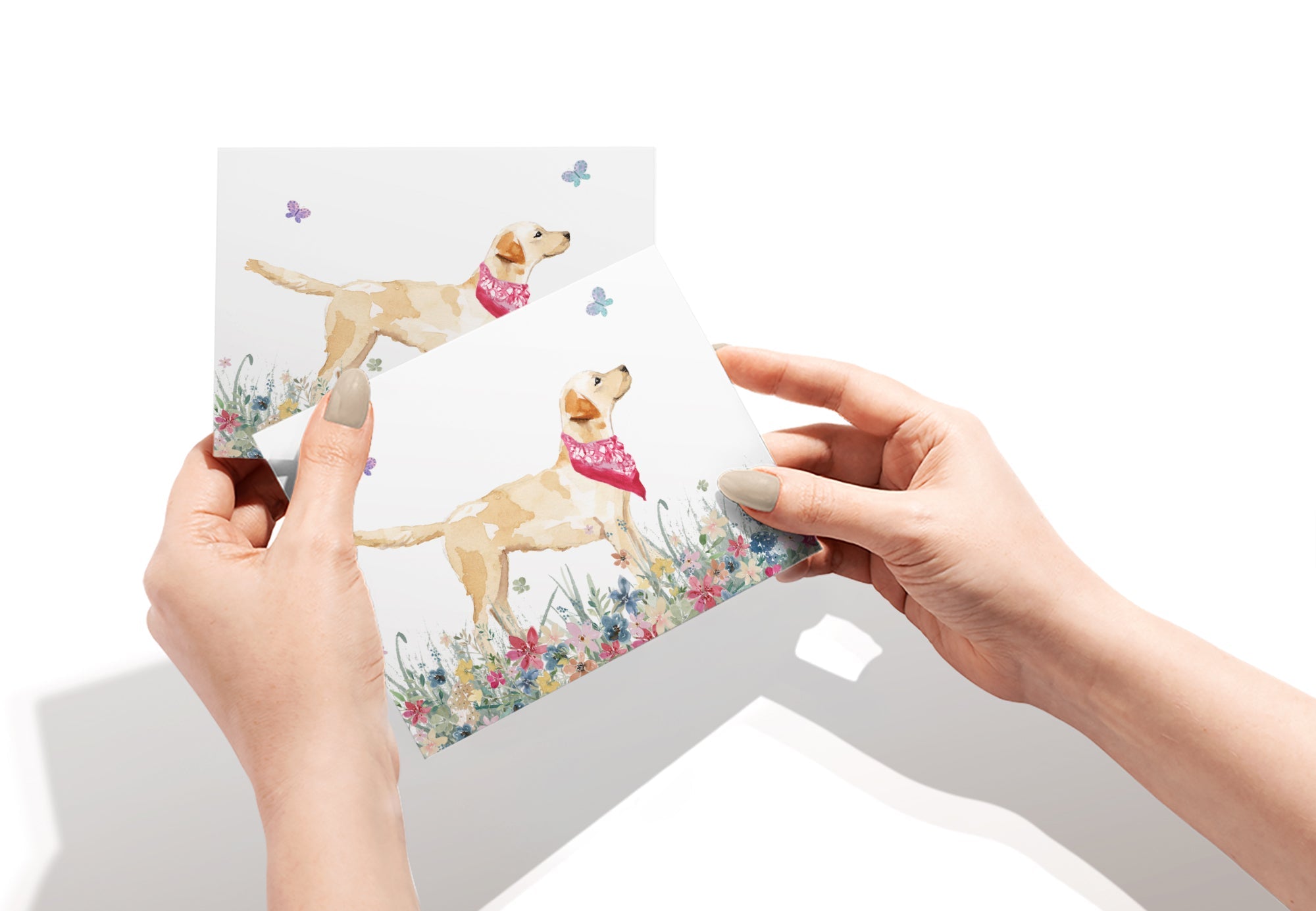 Labrador Retriever Watercolor Dog Greeting Cards with Envelopes - Set of 12
