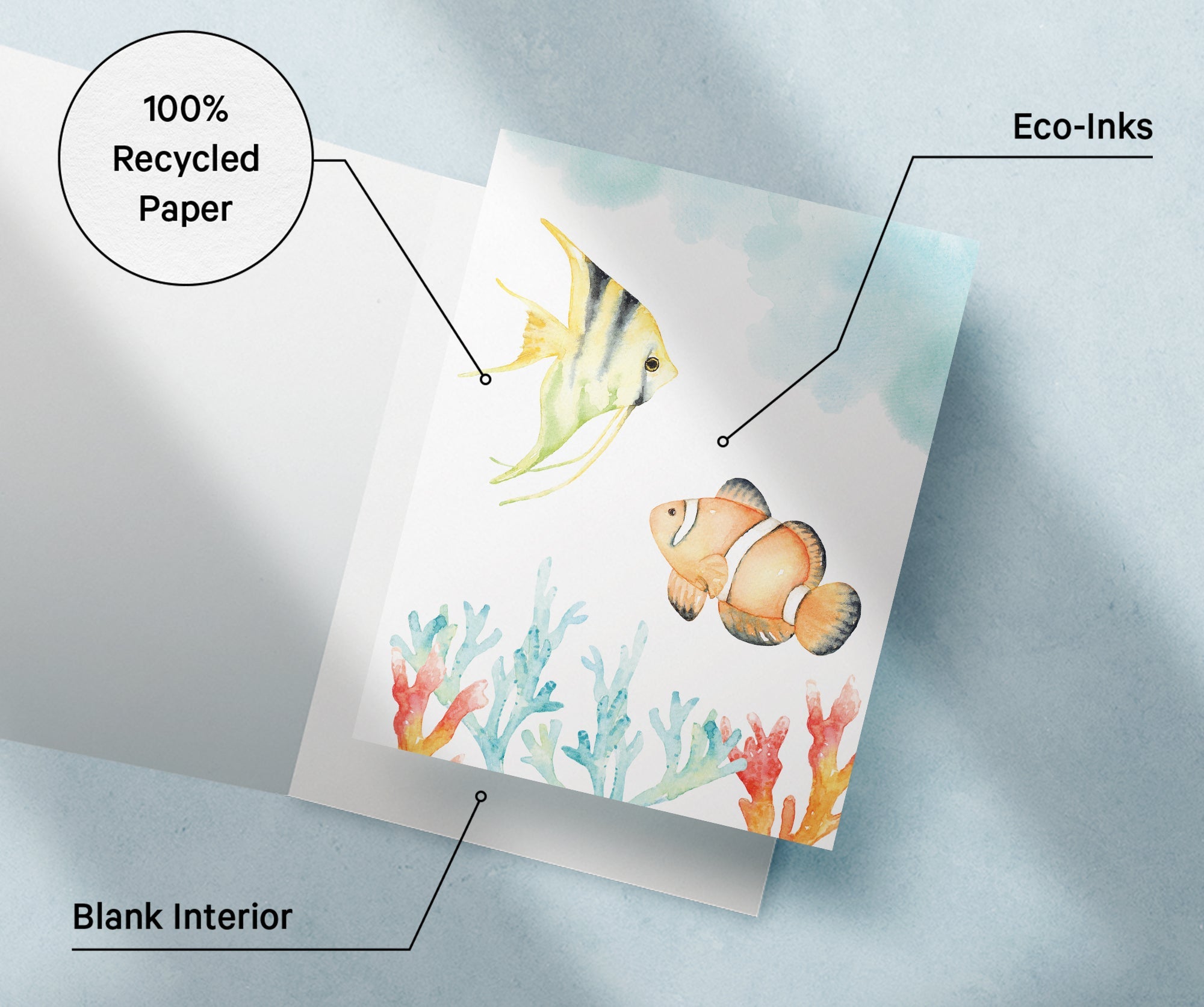 Marine Wonders Ocean Animal Greeting Cards with Envelopes - Set of 12