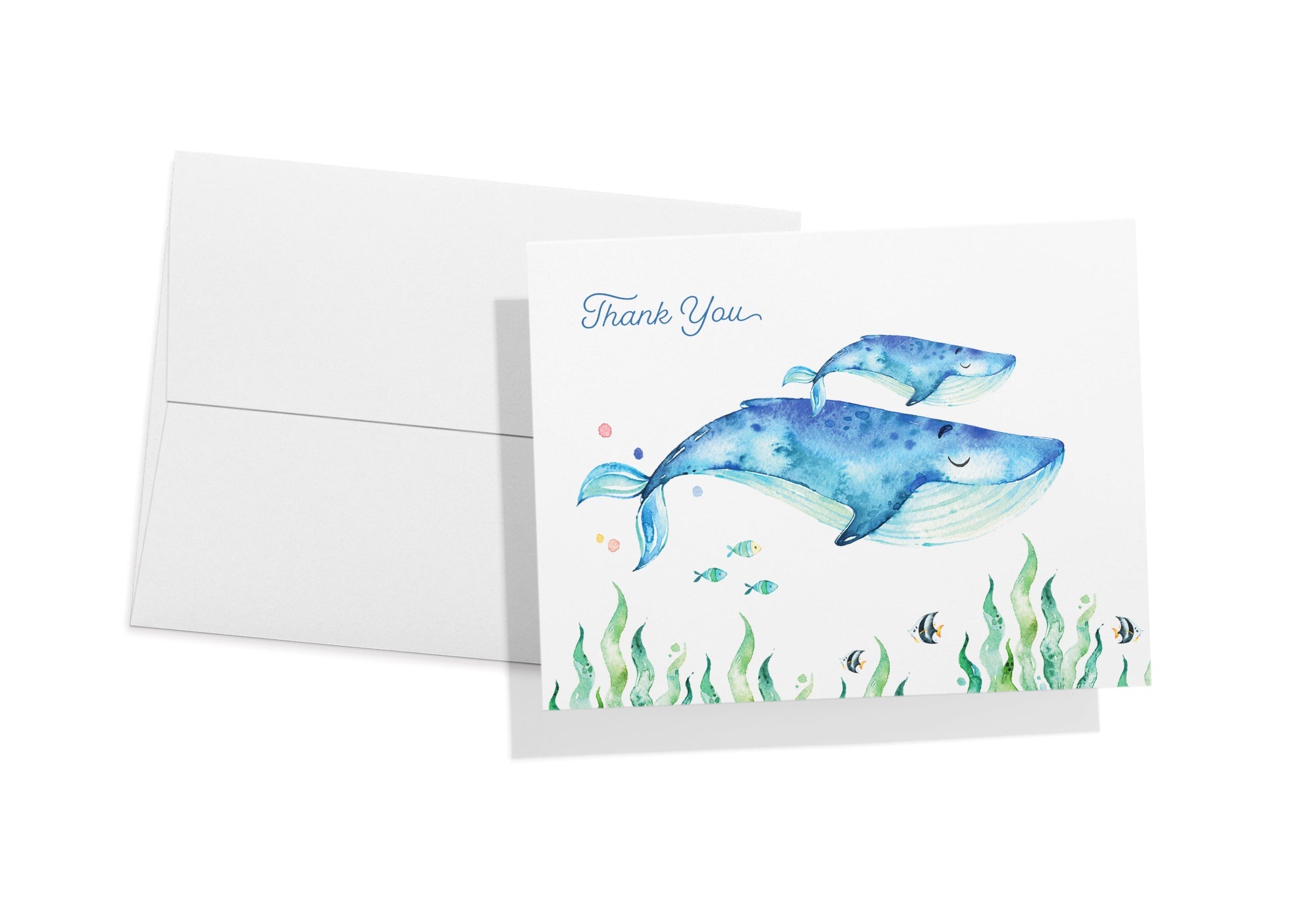 Ocean Tidings Sea Life Thank You Cards with Envelopes - Set of 12