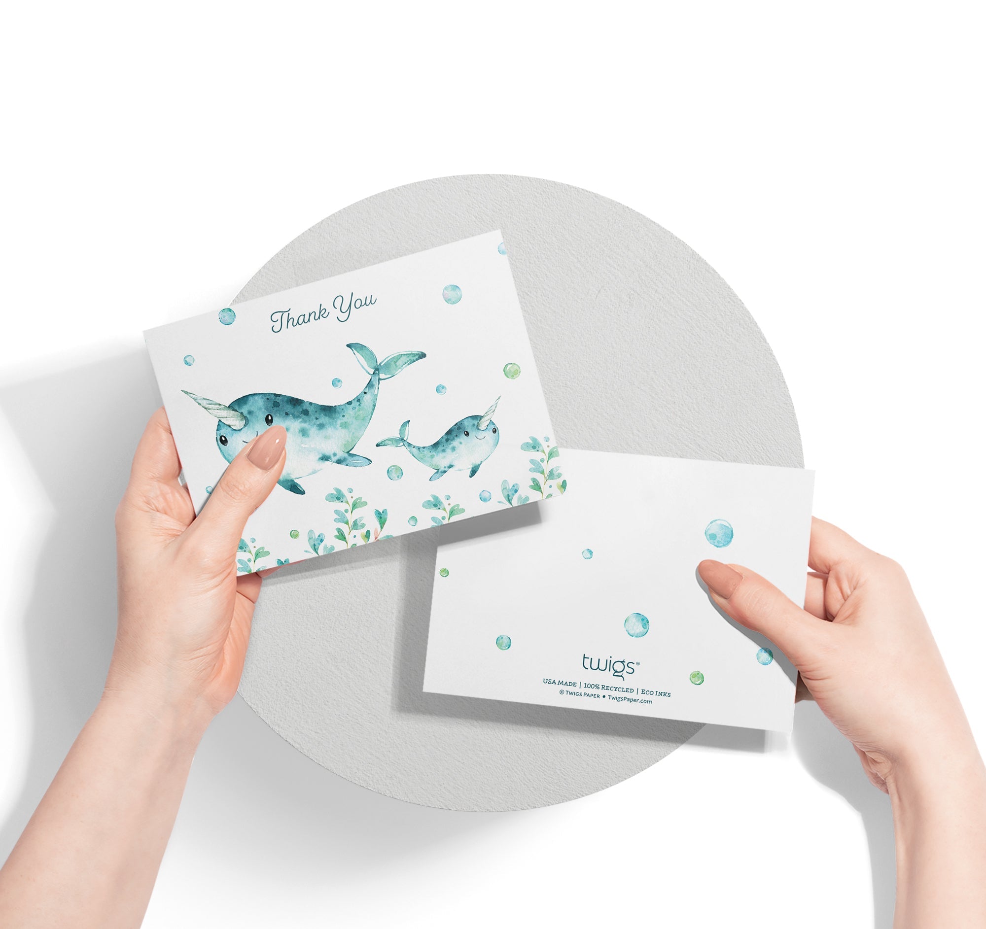 Ocean Tidings Sea Life Thank You Cards with Envelopes - Set of 12