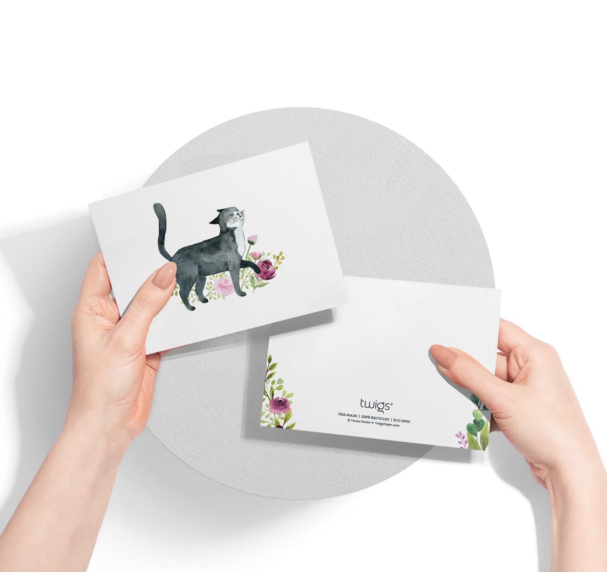 Playful Cats Watercolor Cat Greeting Cards with Envelopes - Set of 12