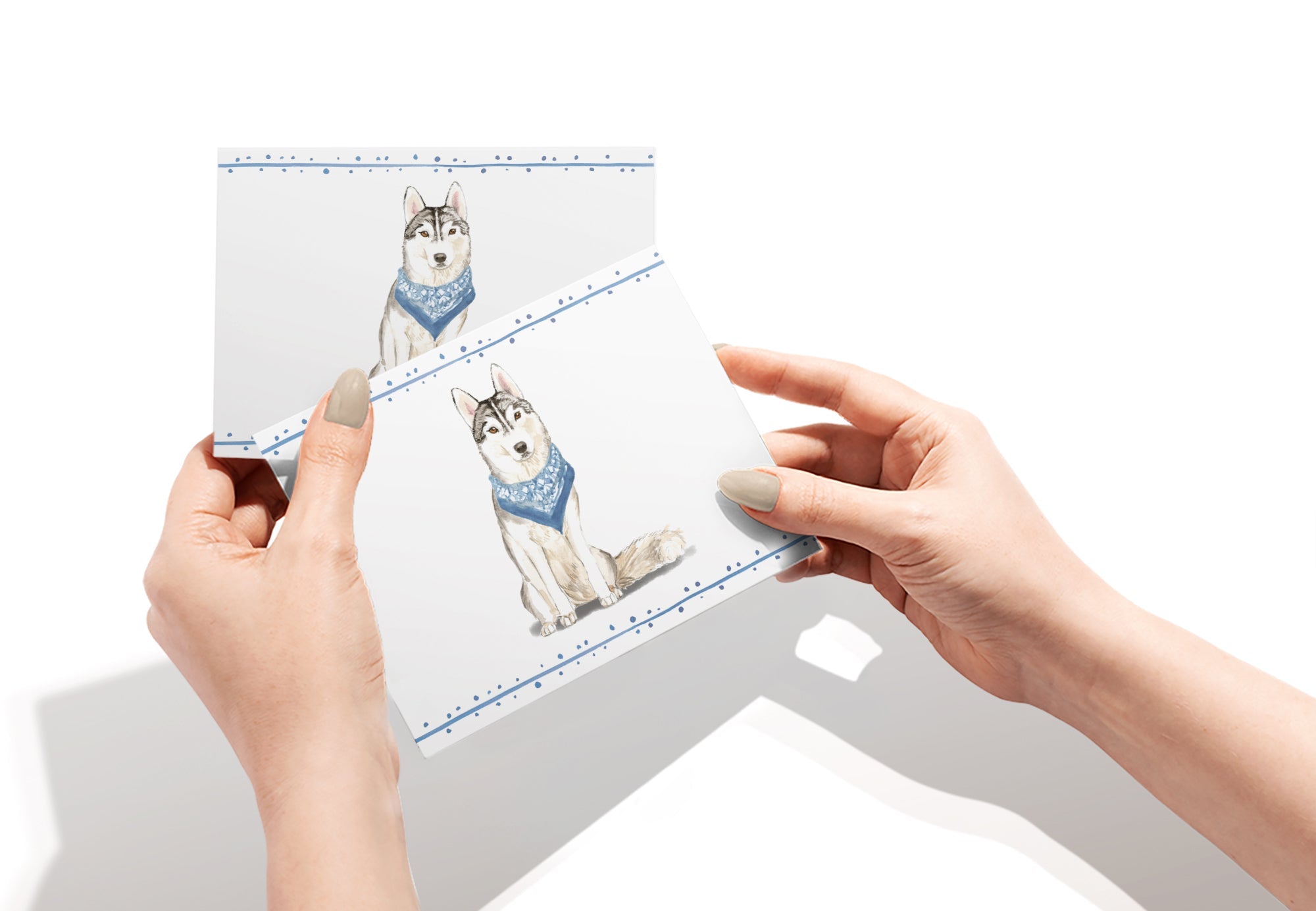 Siberian Husky Watercolor Dog Greeting Cards with Envelopes - Set of 12