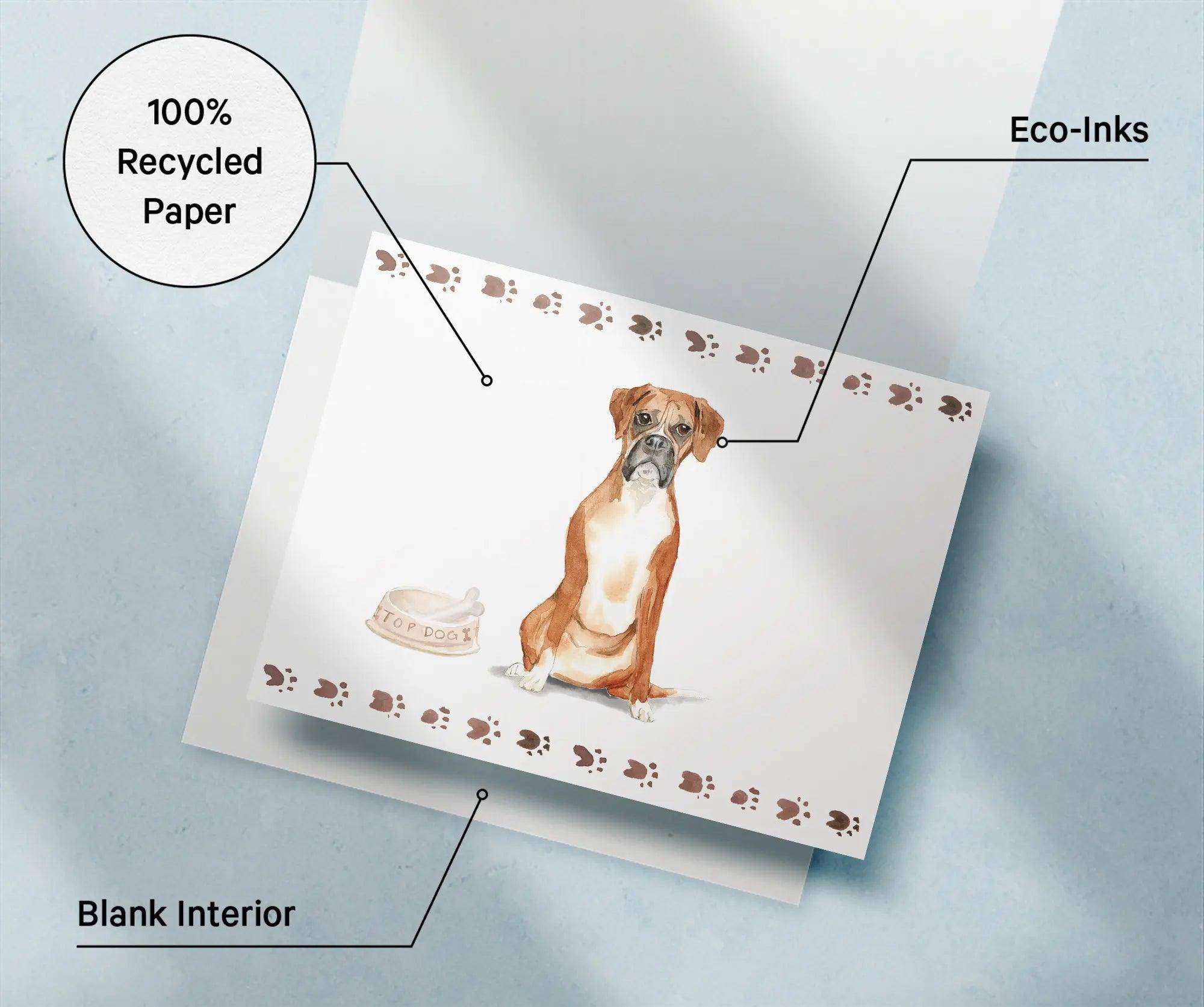 Boxer - Physical - Twigs Paper