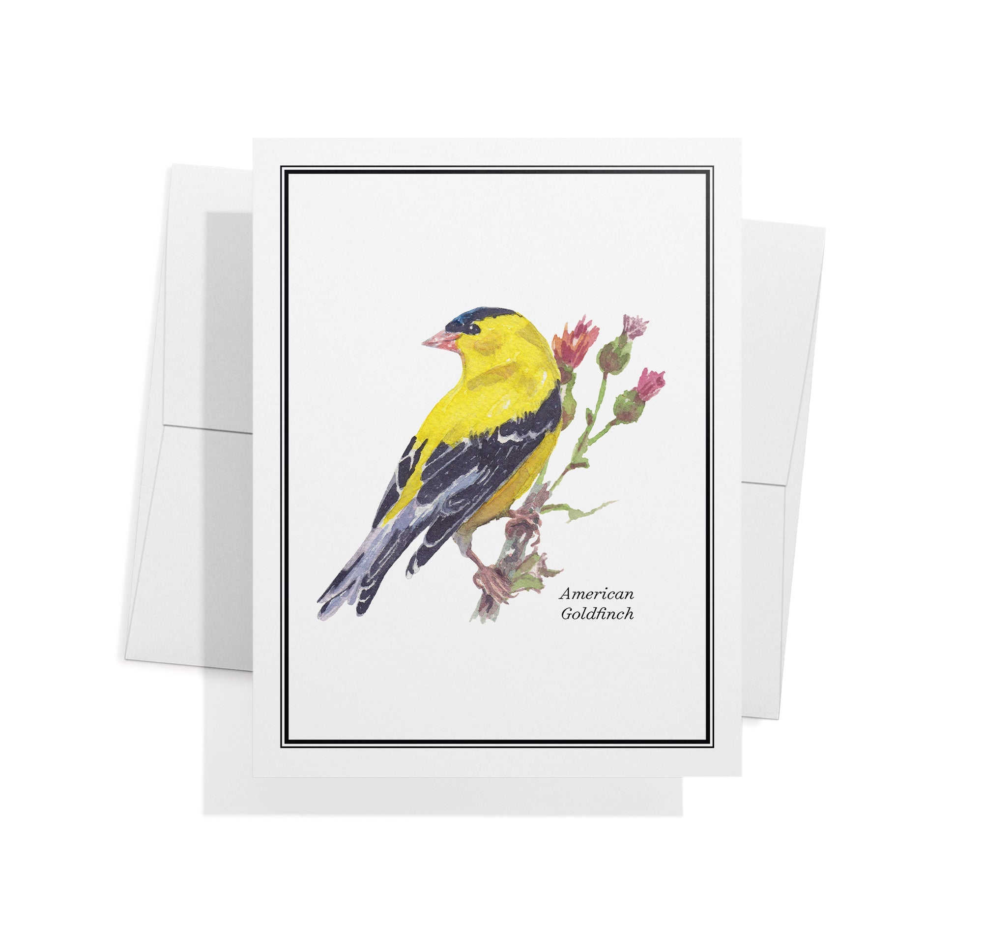 Vintage Birds Watercolor Greeting Cards with Envelopes - Set of 12