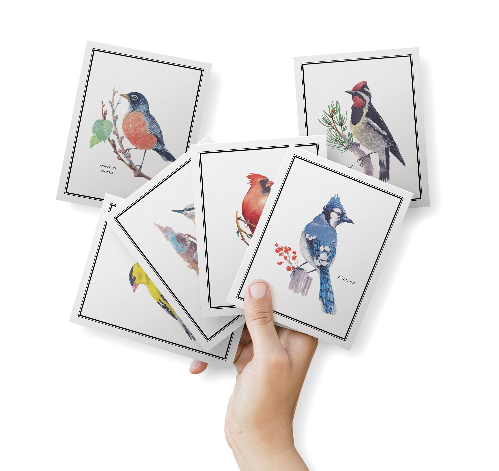 Vintage Birds Watercolor Greeting Cards with Envelopes - Set of 12