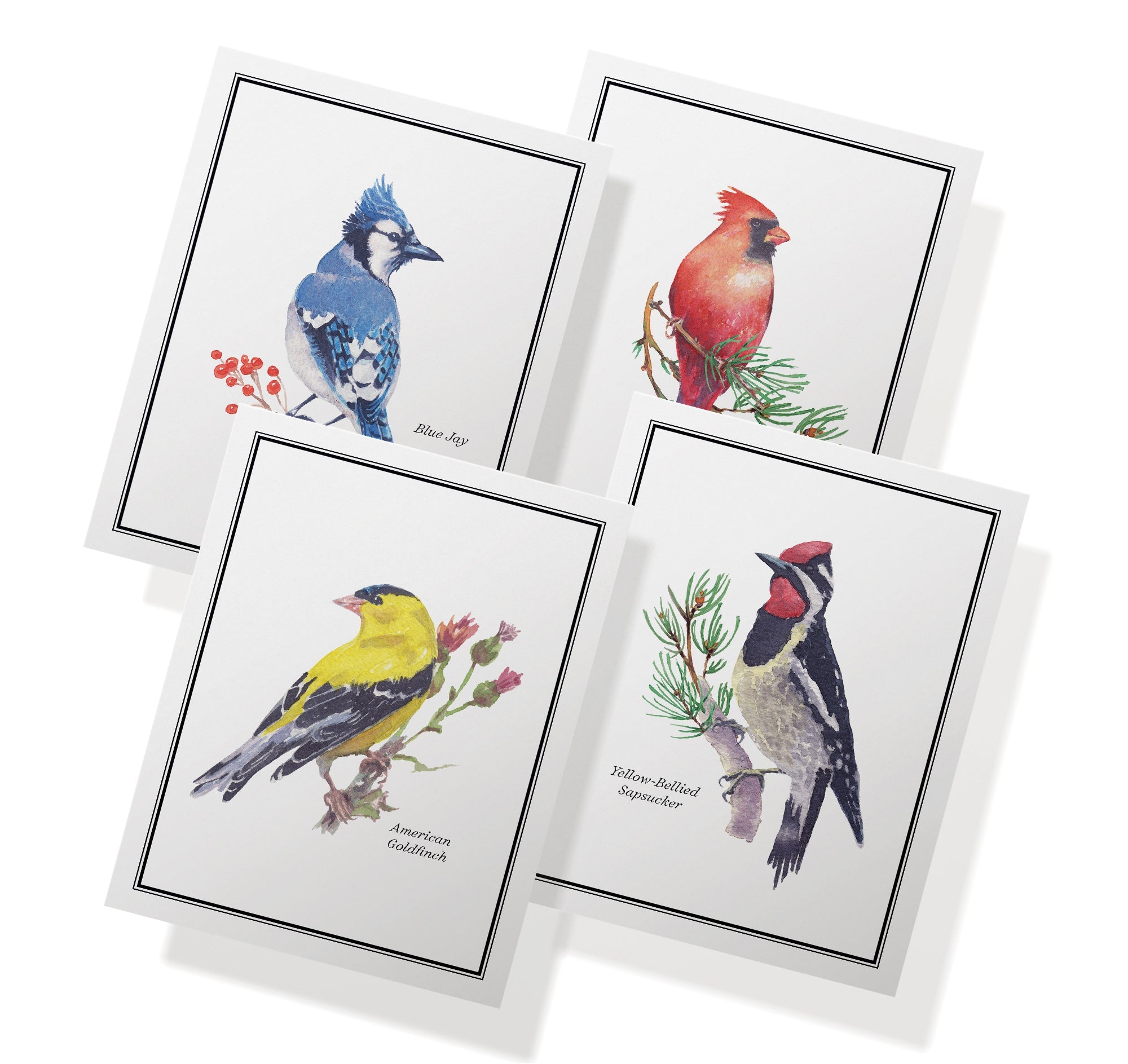 Vintage Birds Watercolor Greeting Cards with Envelopes - Set of 12