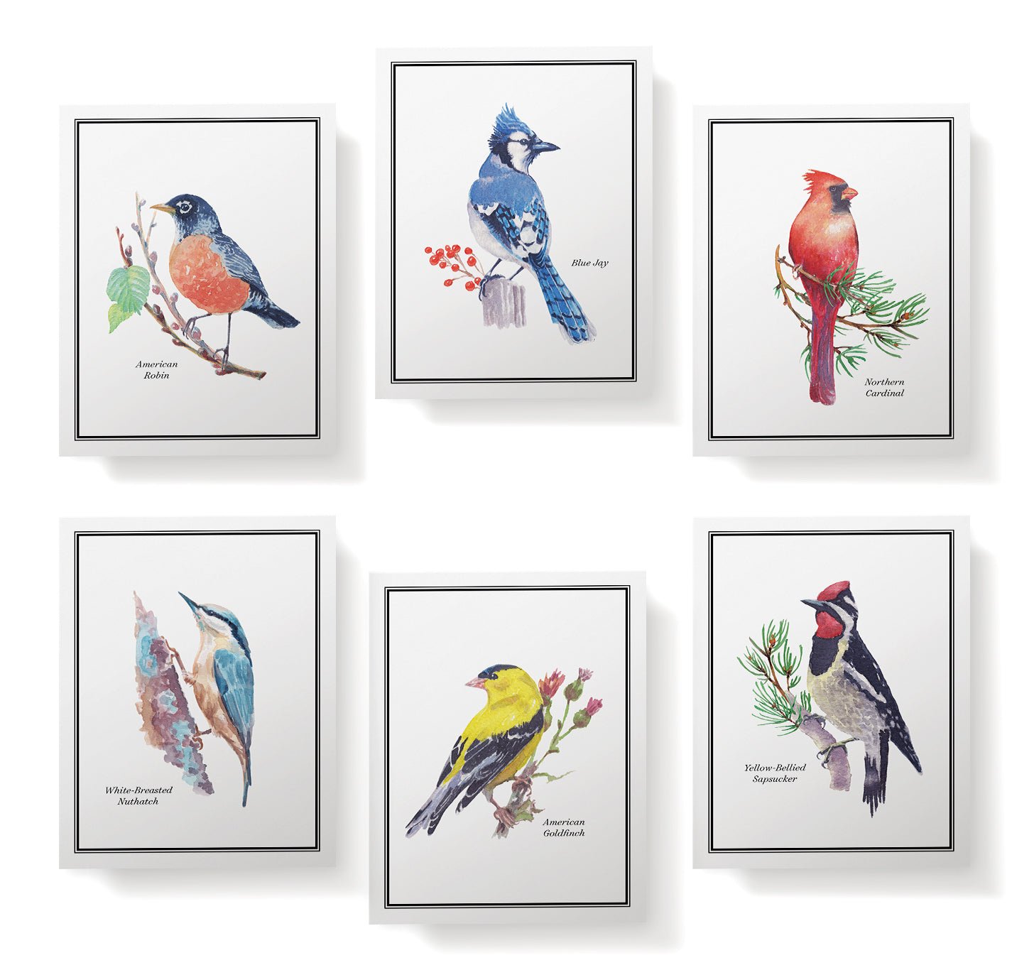 Vintage Birds Watercolor Greeting Cards with Envelopes - Set of 12