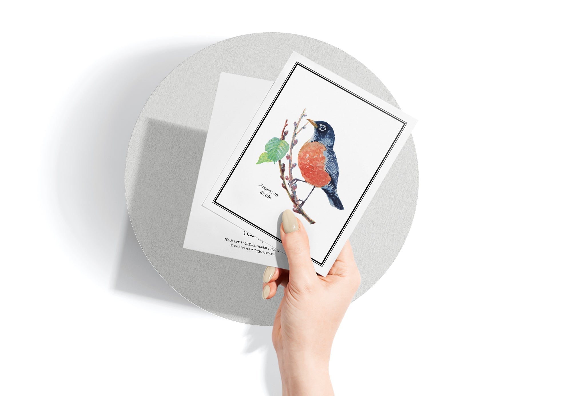 Vintage Birds Watercolor Greeting Cards with Envelopes - Set of 12