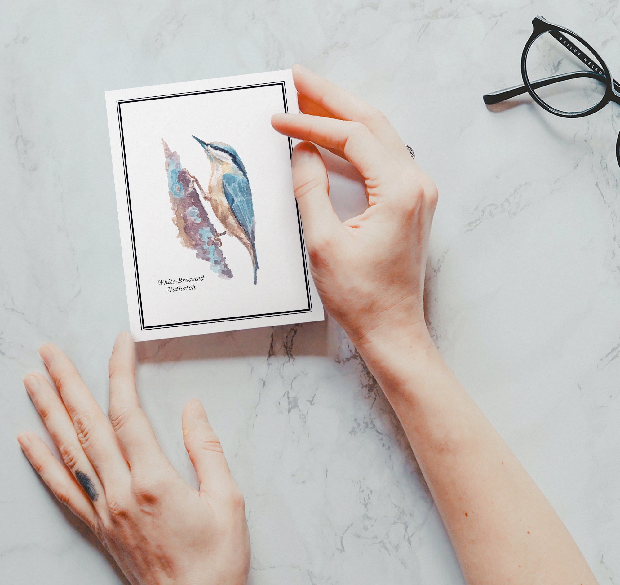 Vintage Birds Watercolor Greeting Cards with Envelopes - Set of 12